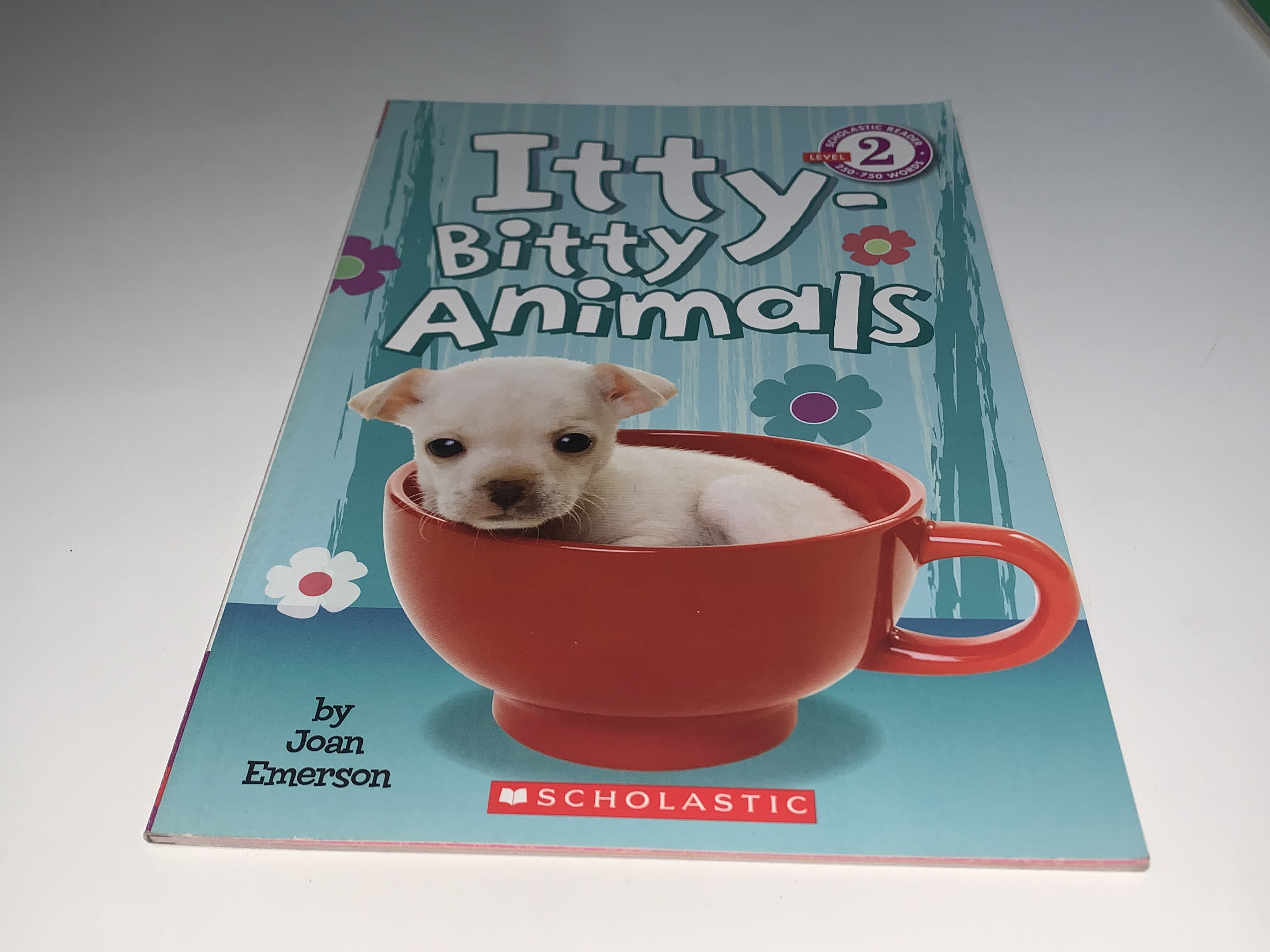 Itty-Bitty Animals