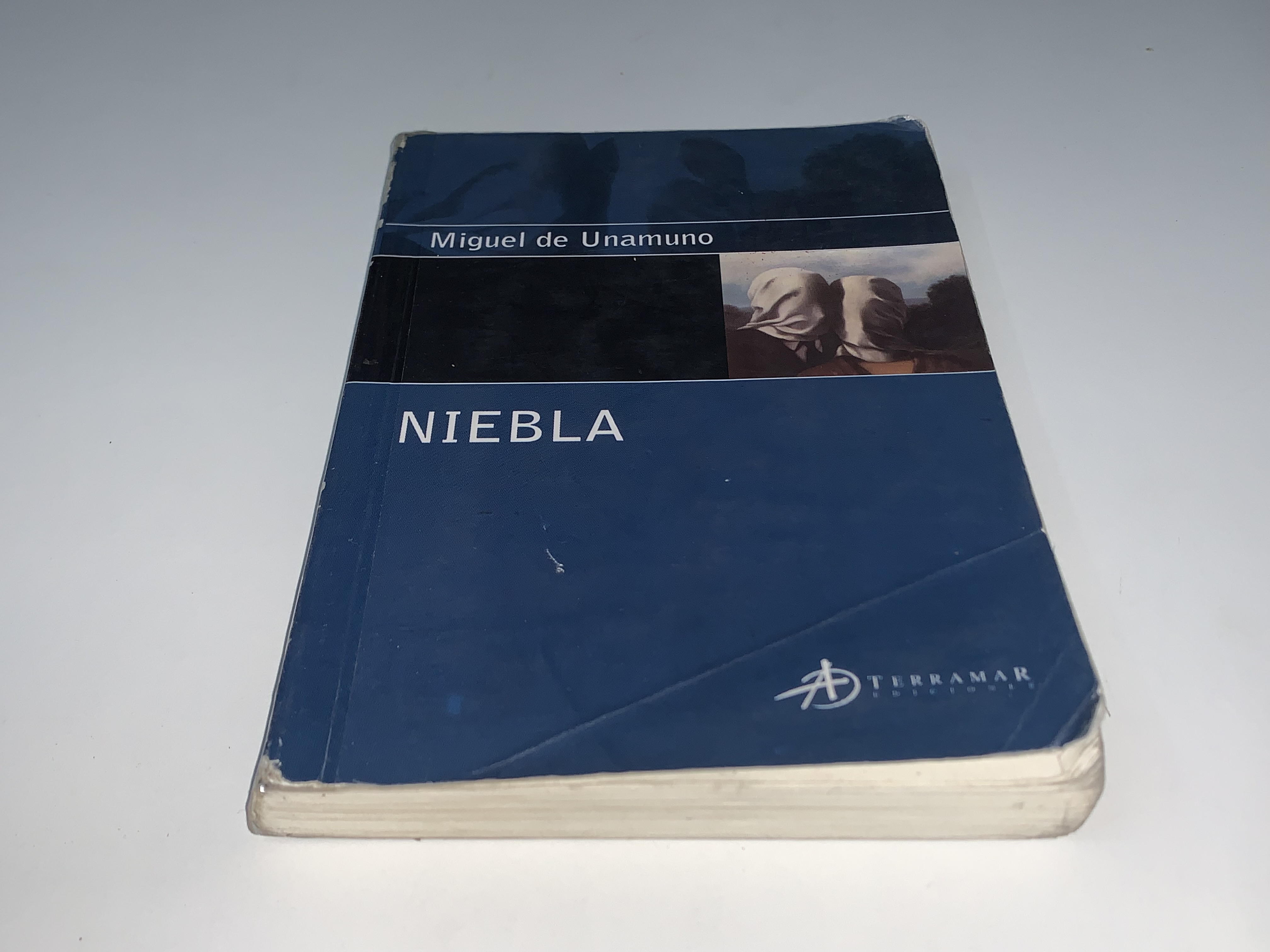 Niebla