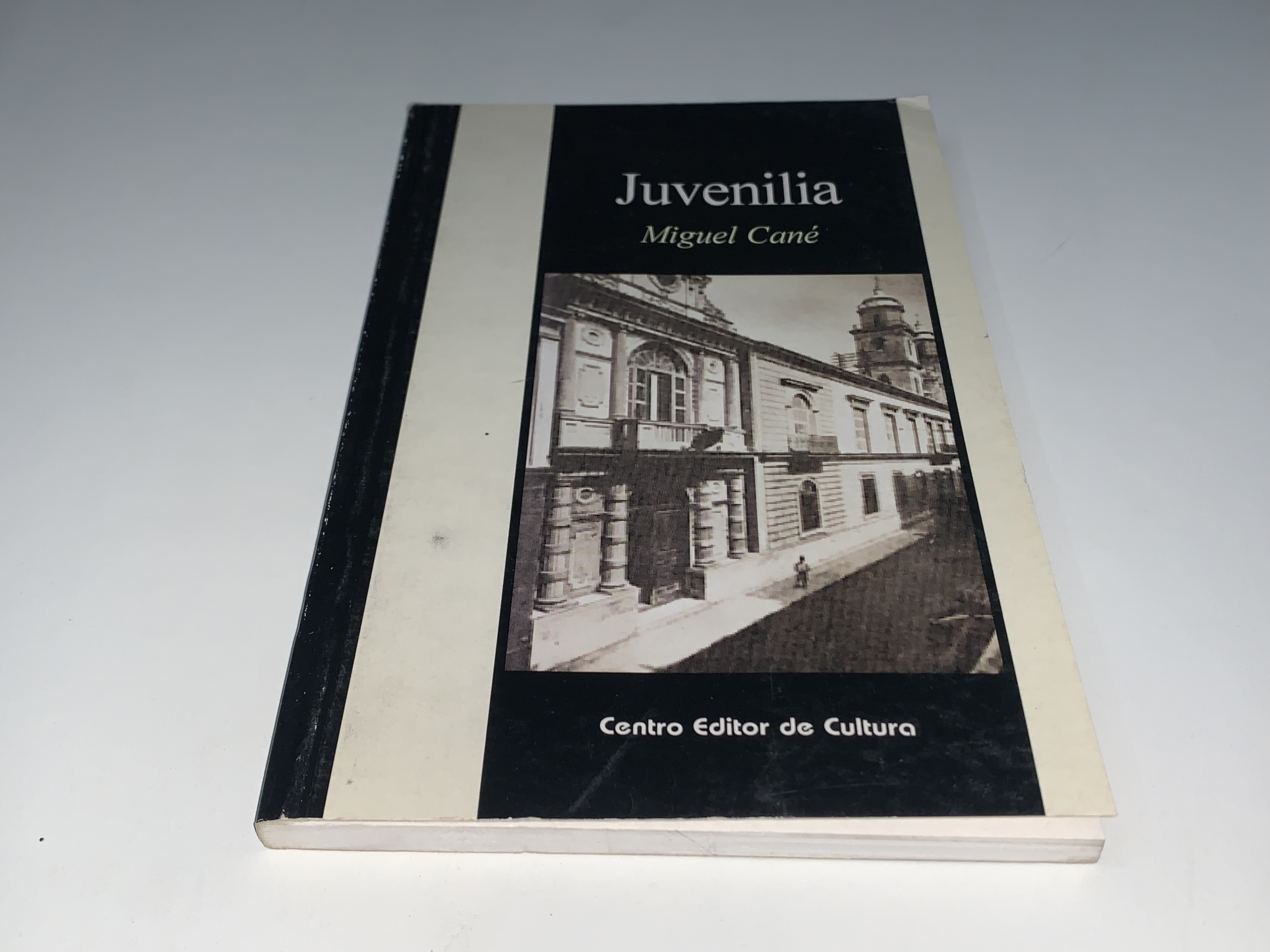 Juvenilia