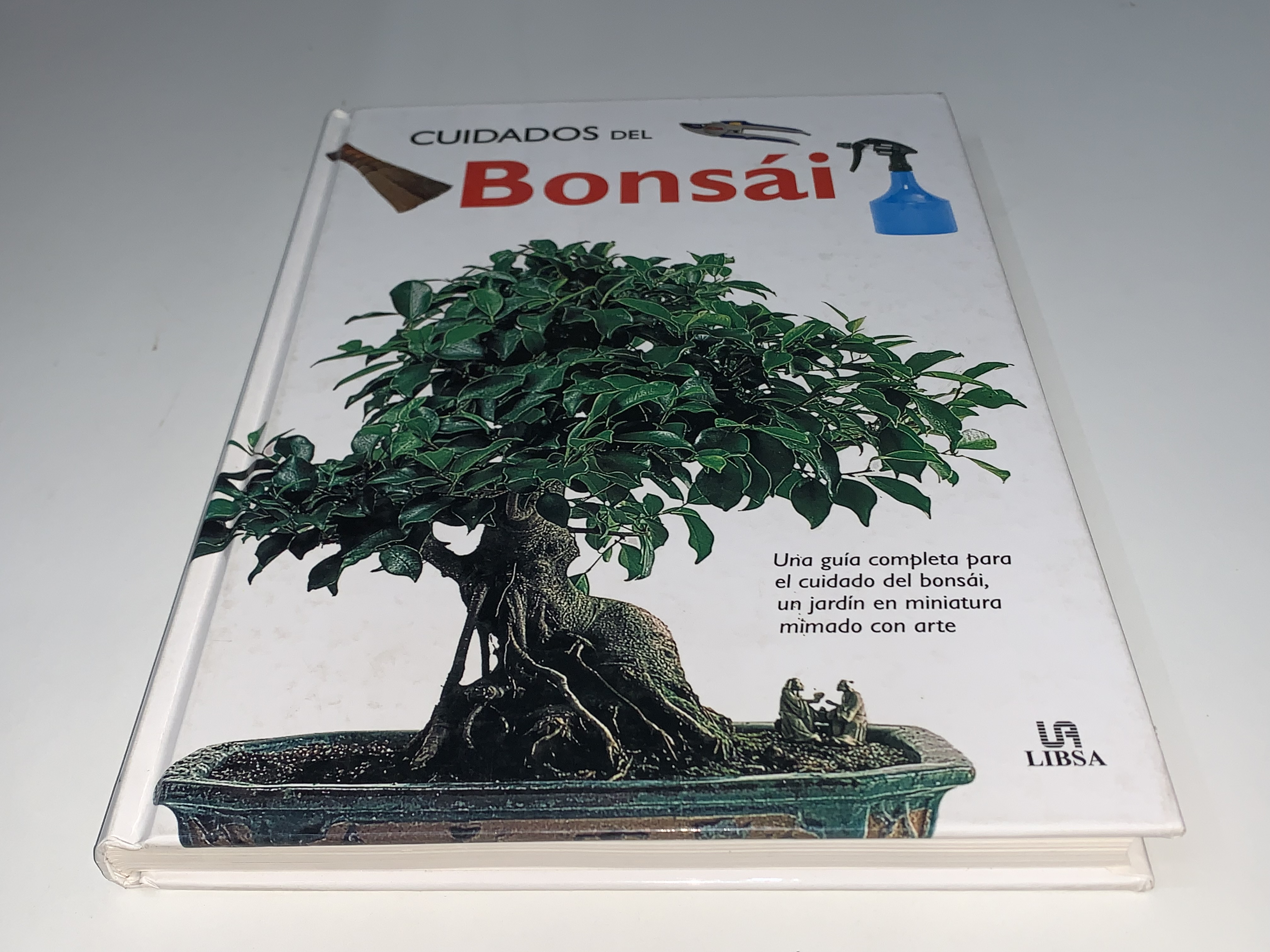 Cuidados del Bonsái