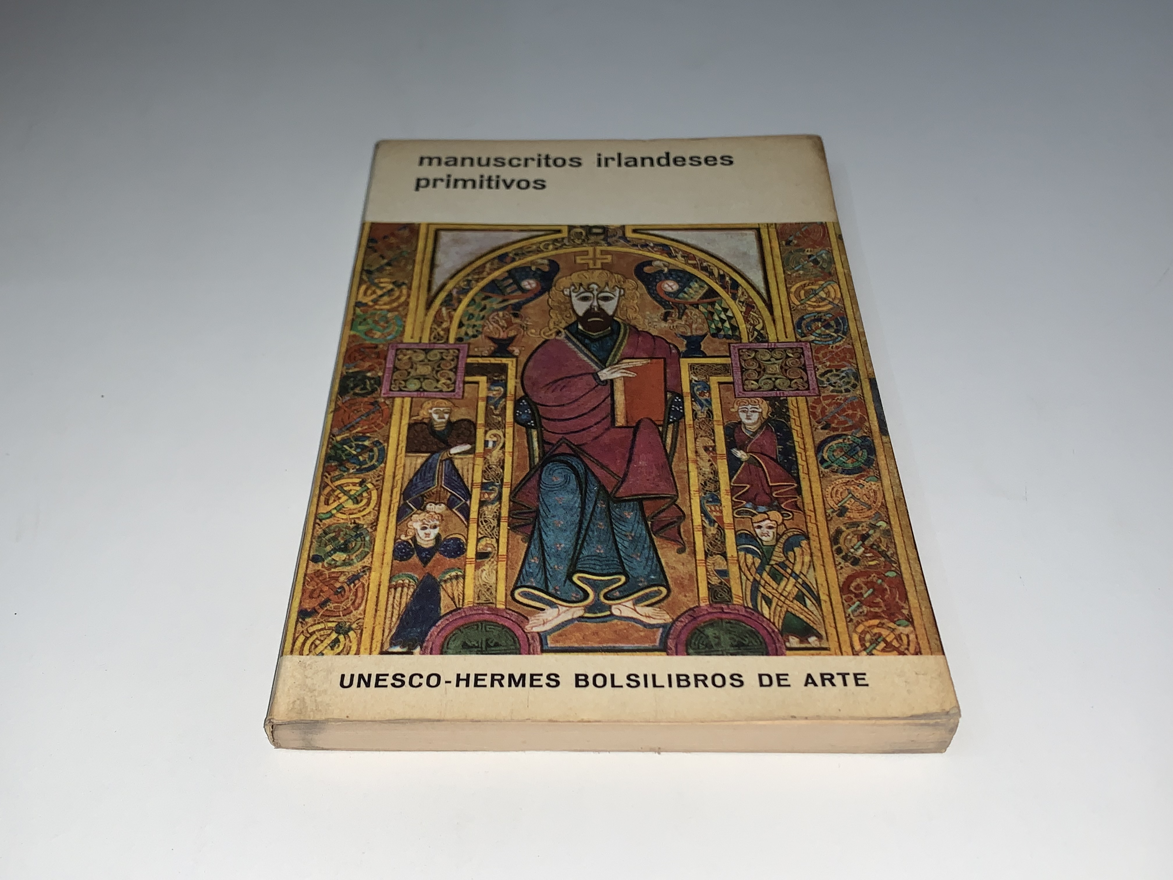 Manuscritos irlandeses primitivos