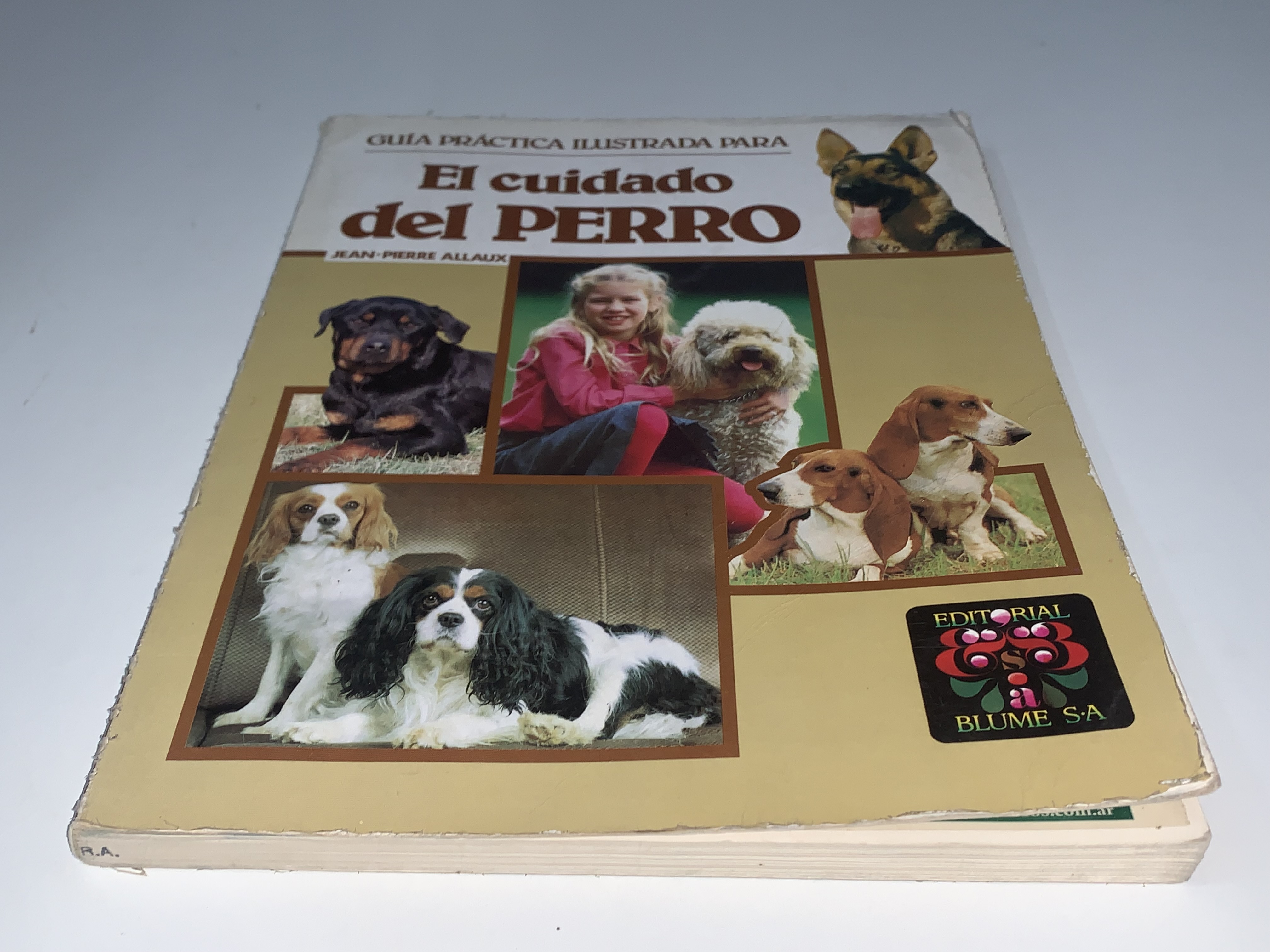 El cuidado del perro