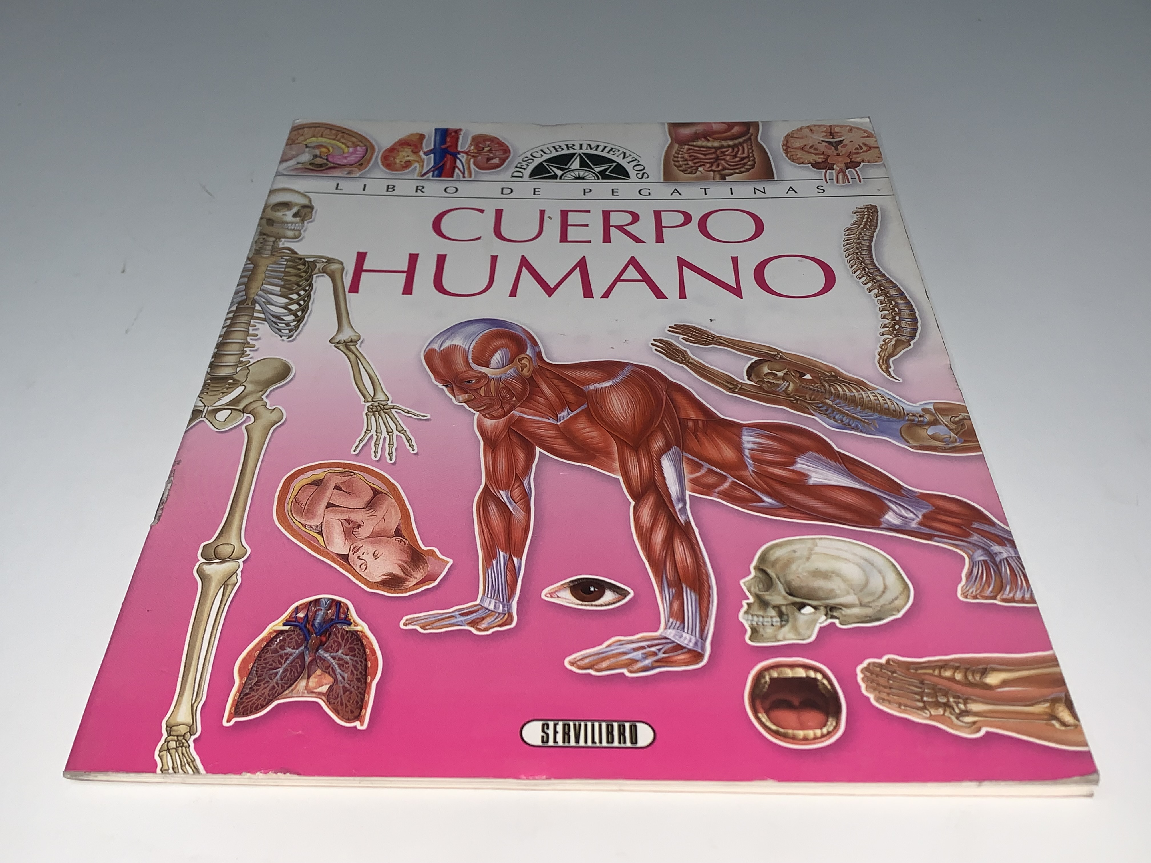 Cuerpo humano