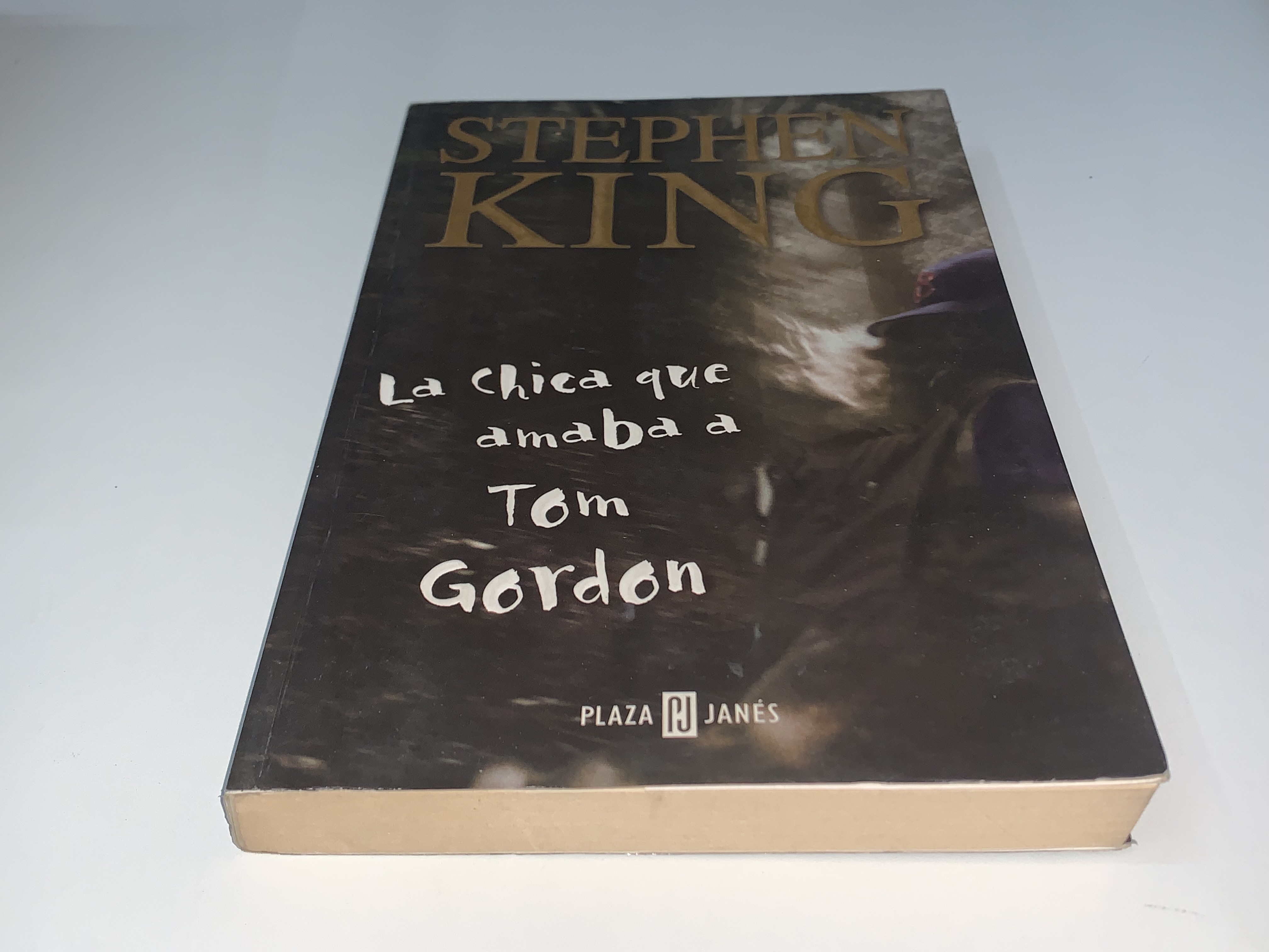 La chica que amaba a Tom Gordon