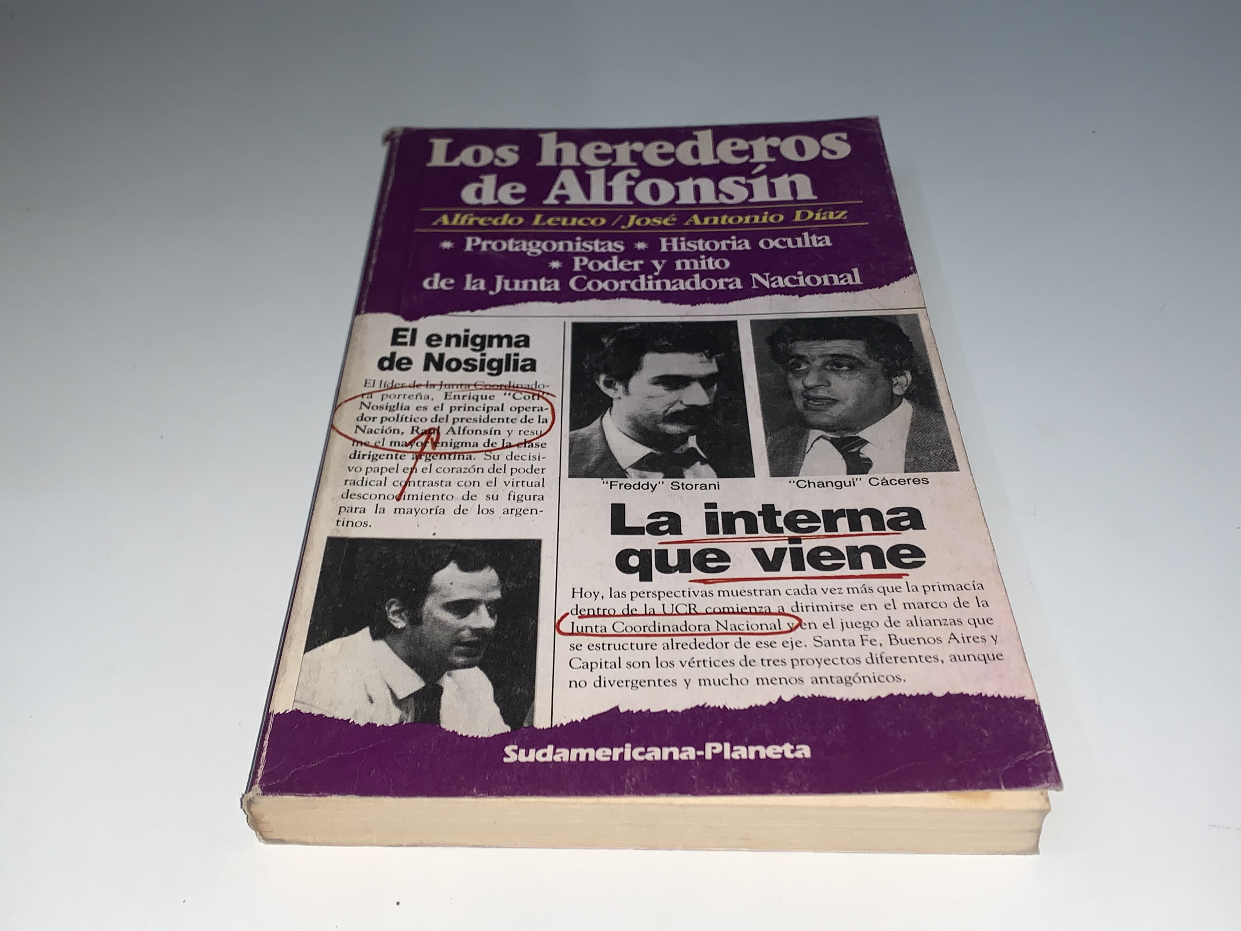 Los herederos de Alfonsín