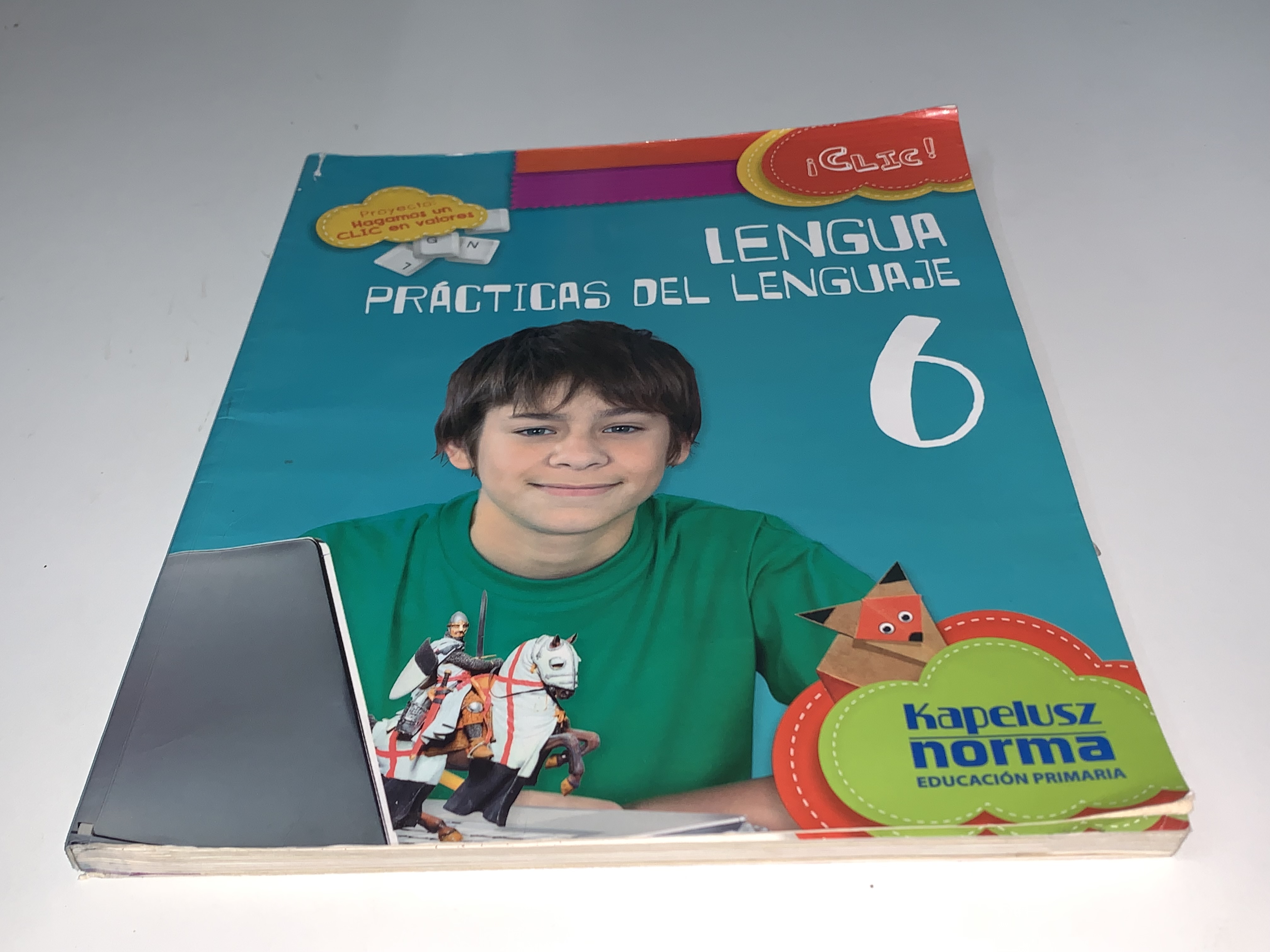 Lengua. Prácticas del lenguaje 6