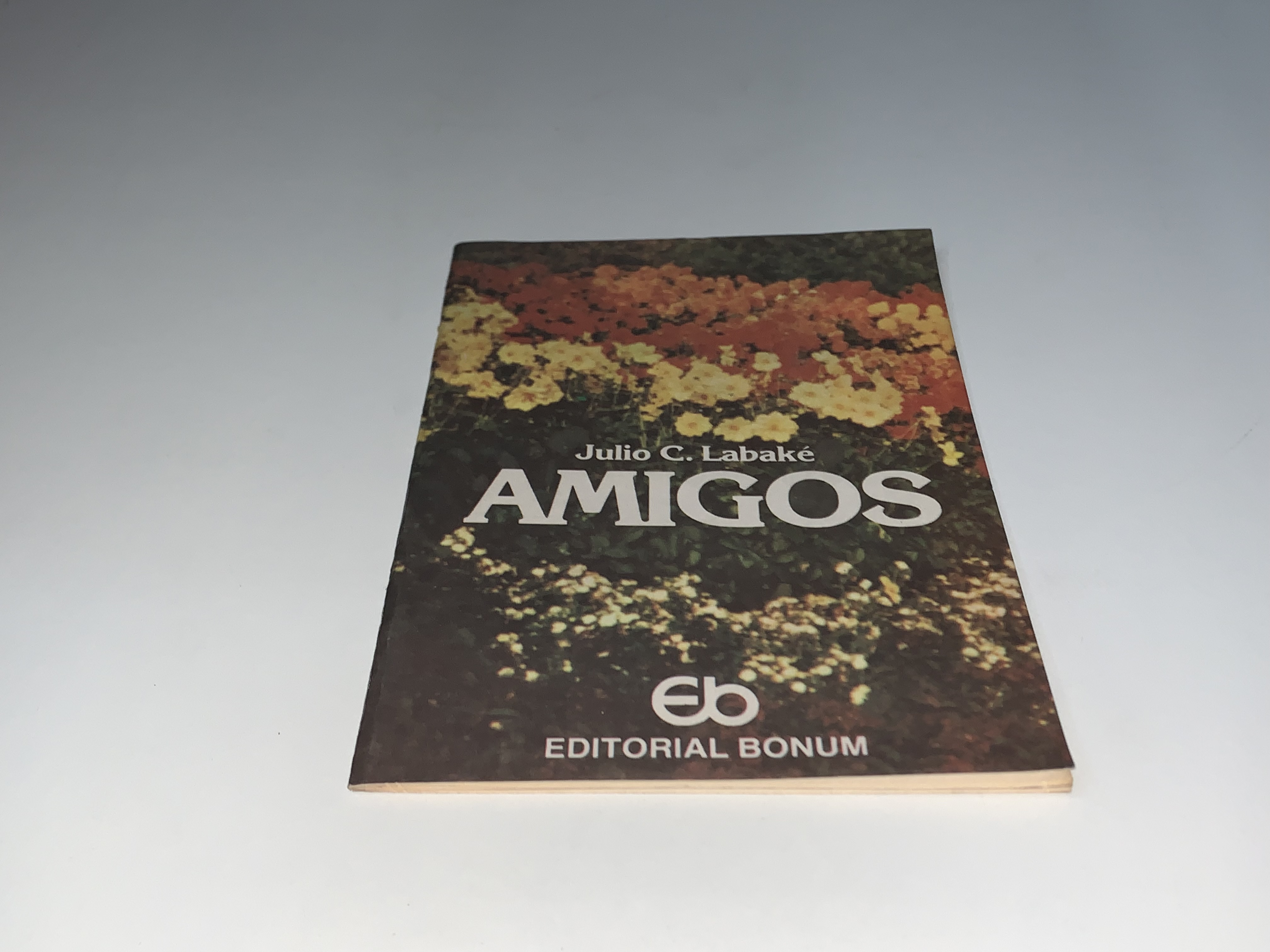 Amigos