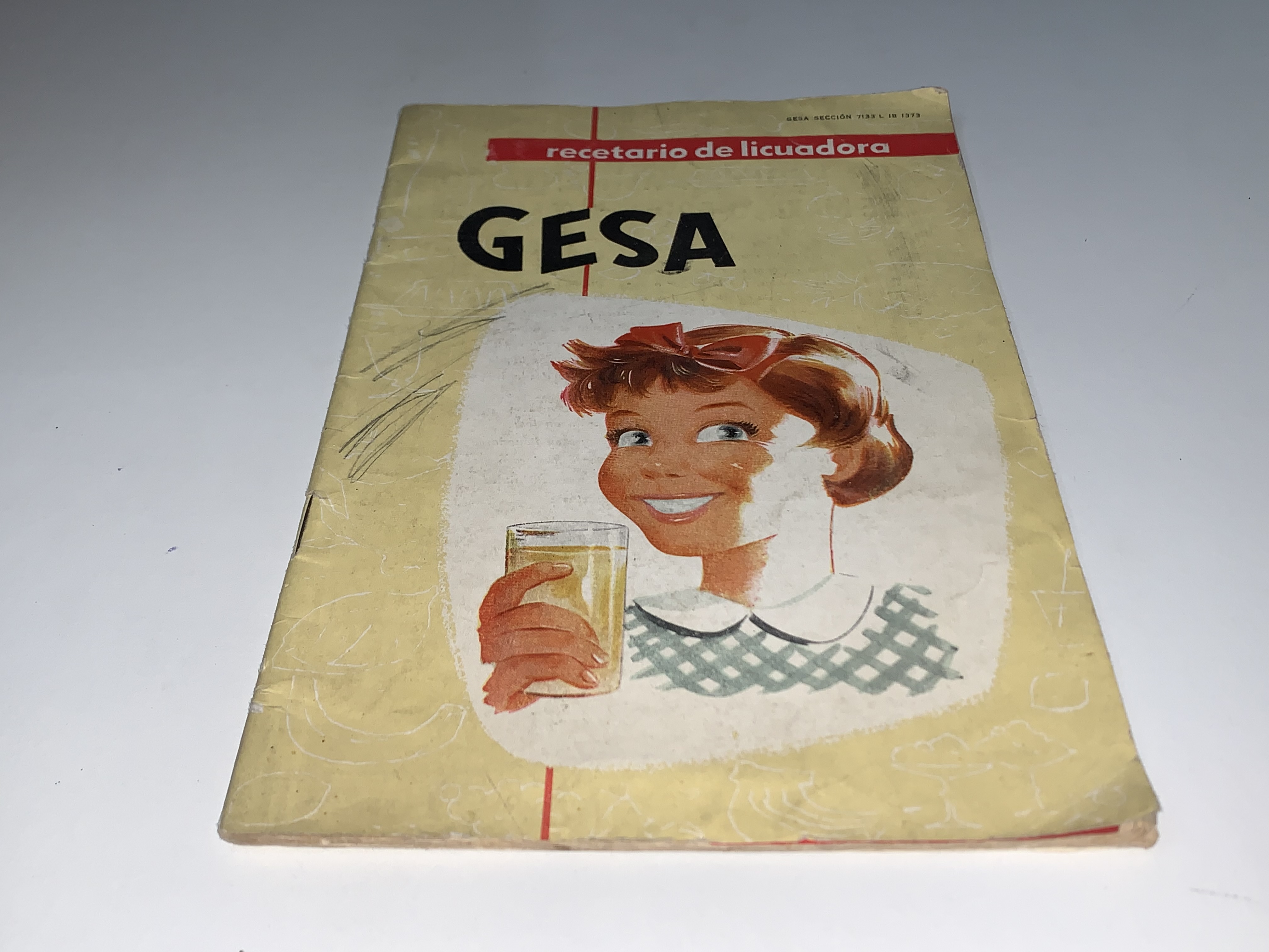 Recetario de licuadora Gesa