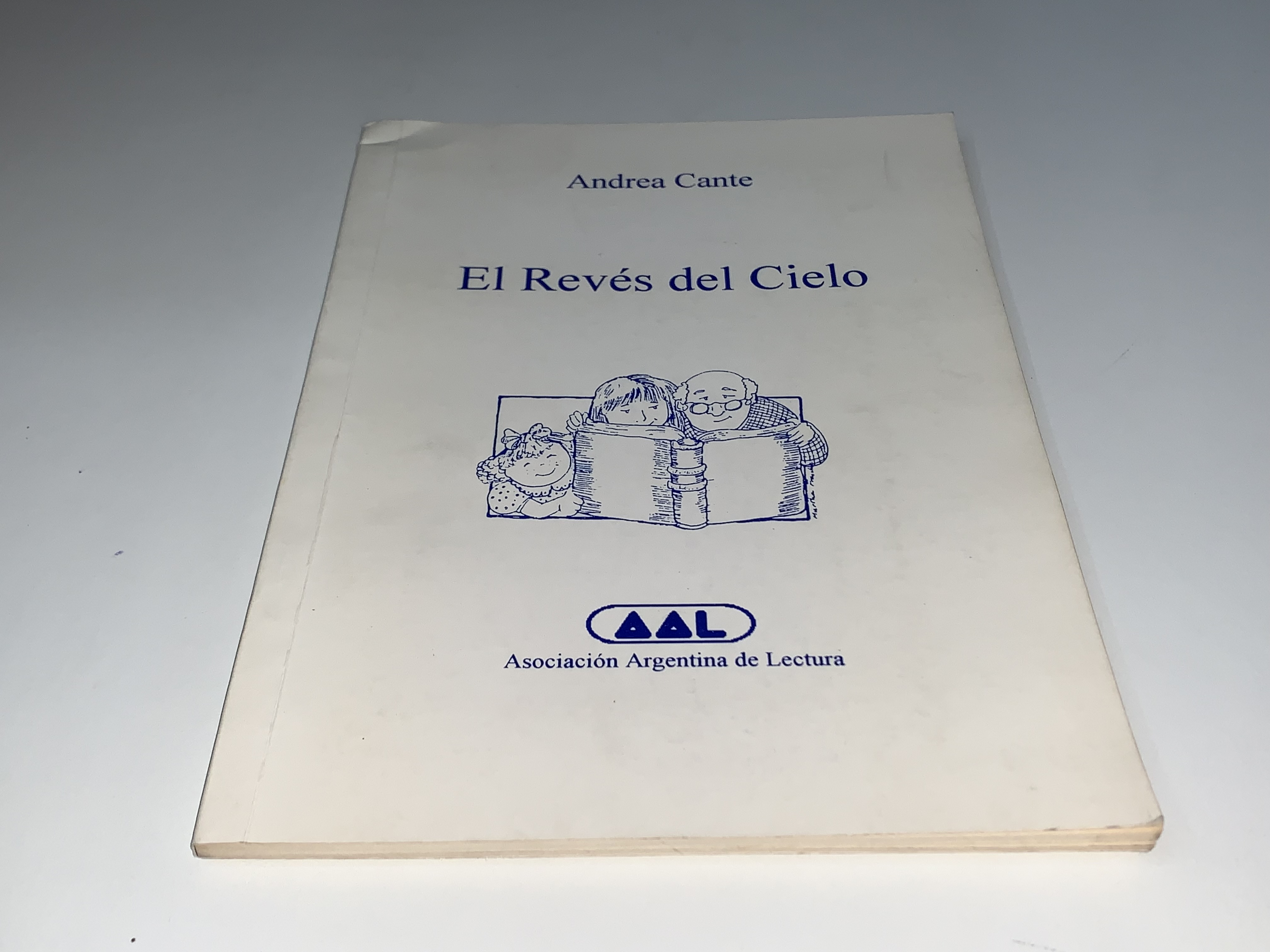 El Revés del Cielo