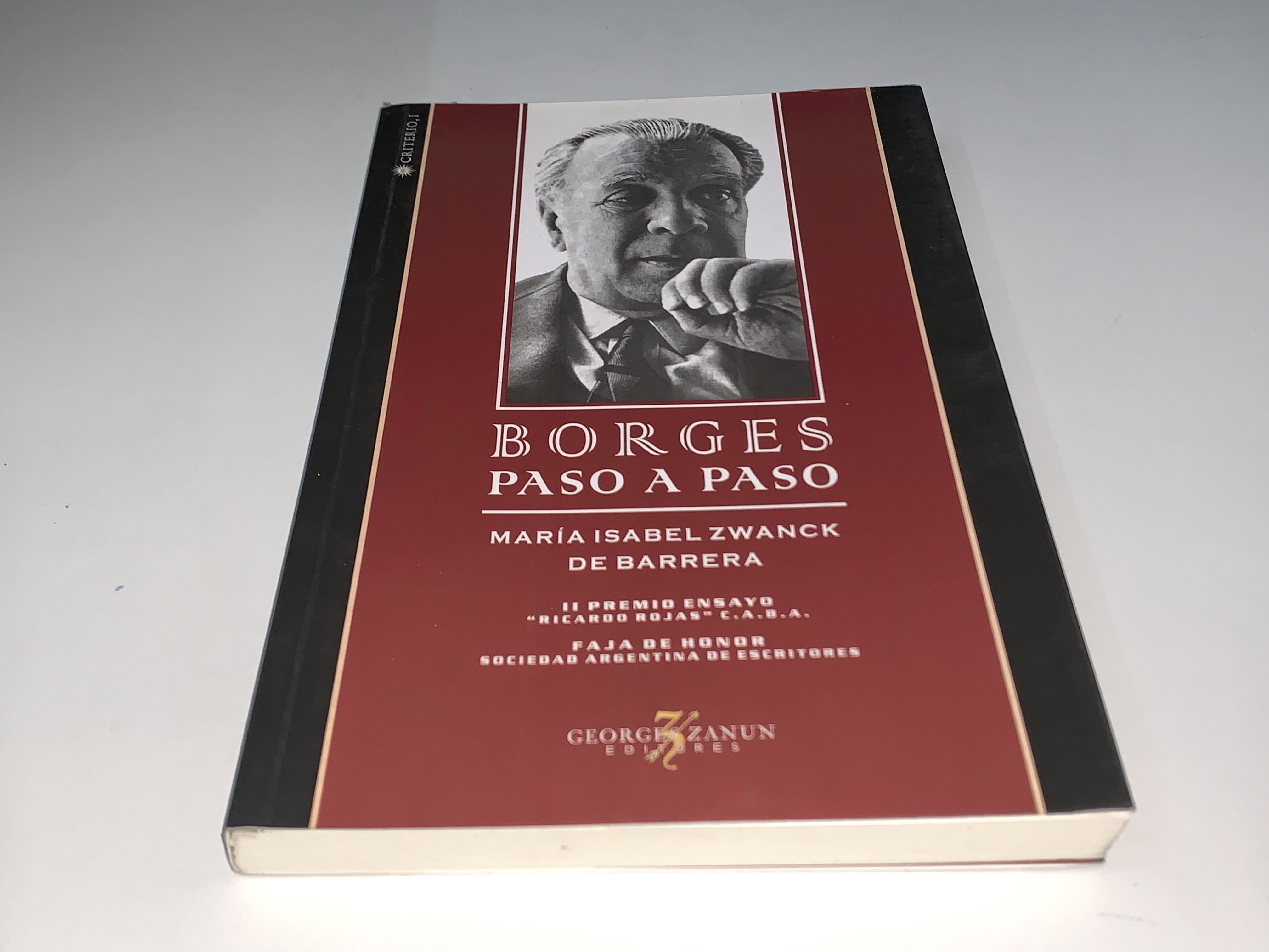 Borges paso a paso