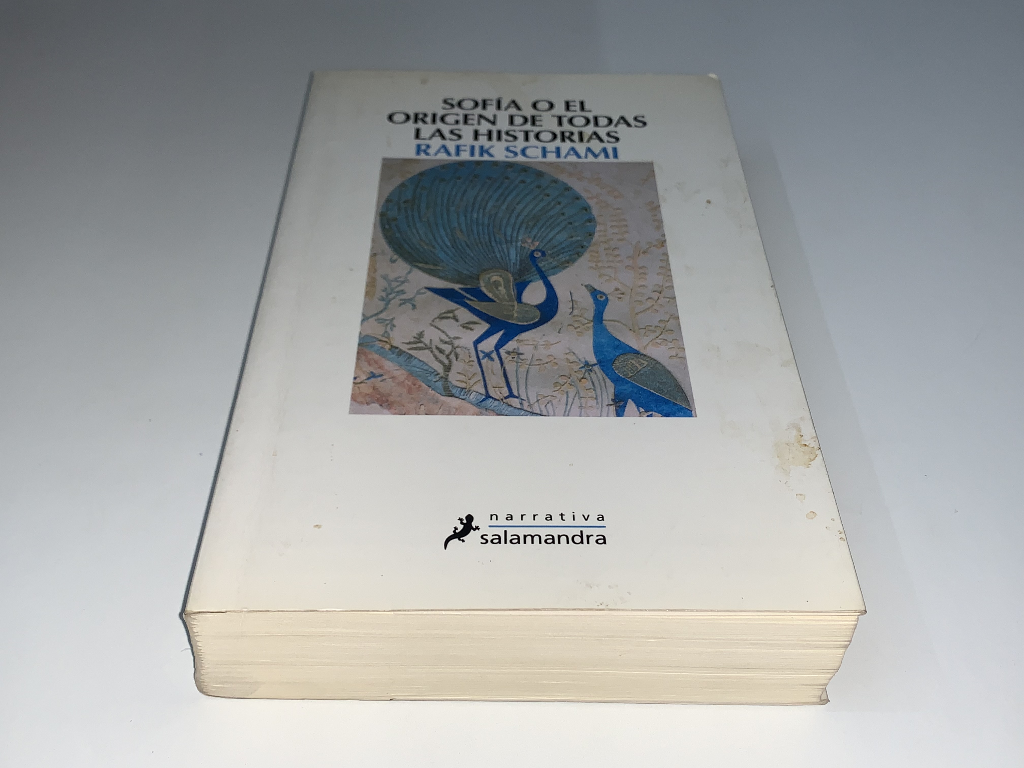 Sofía o el origen de todas las historias