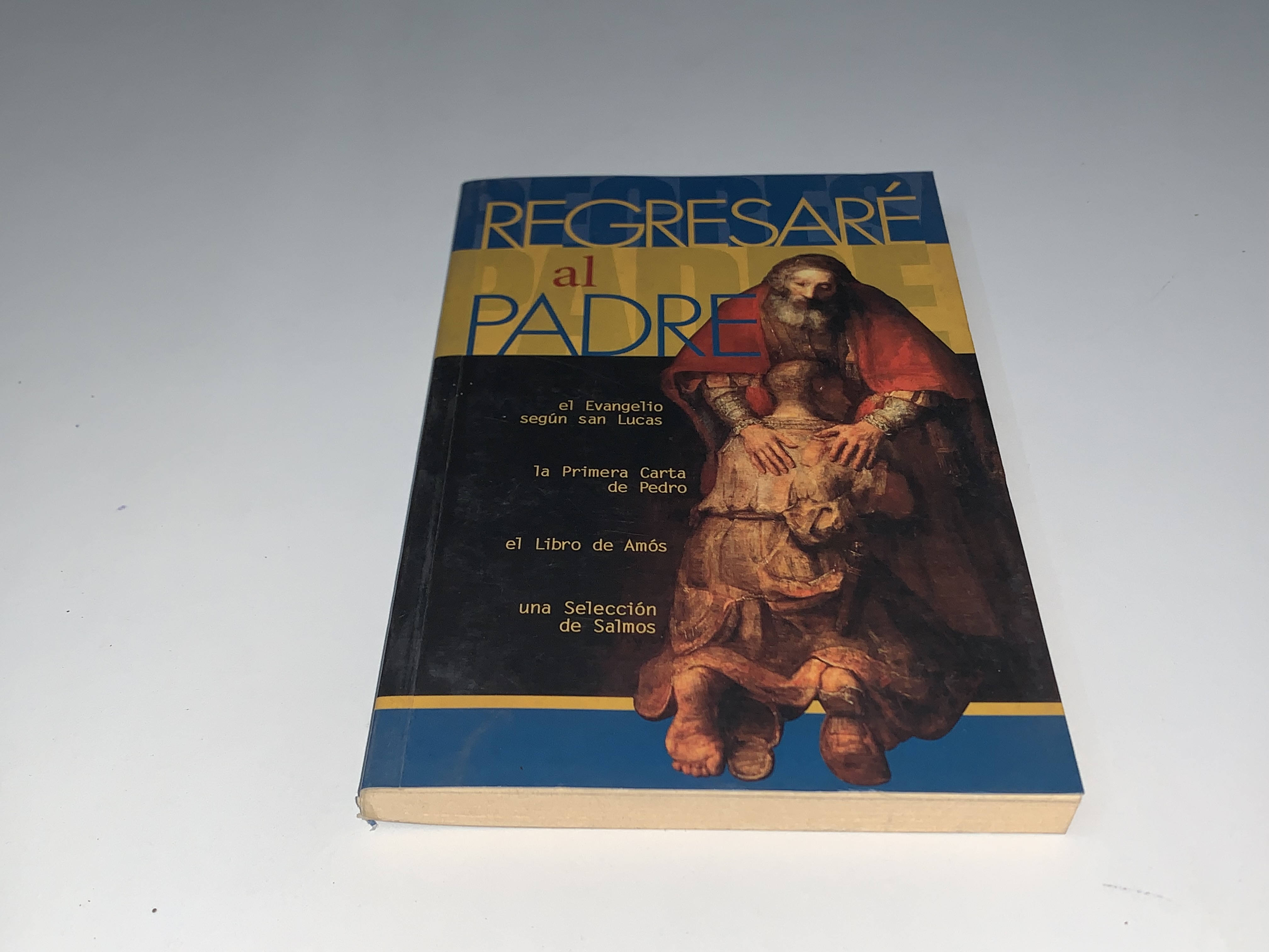 Regresar al Padre