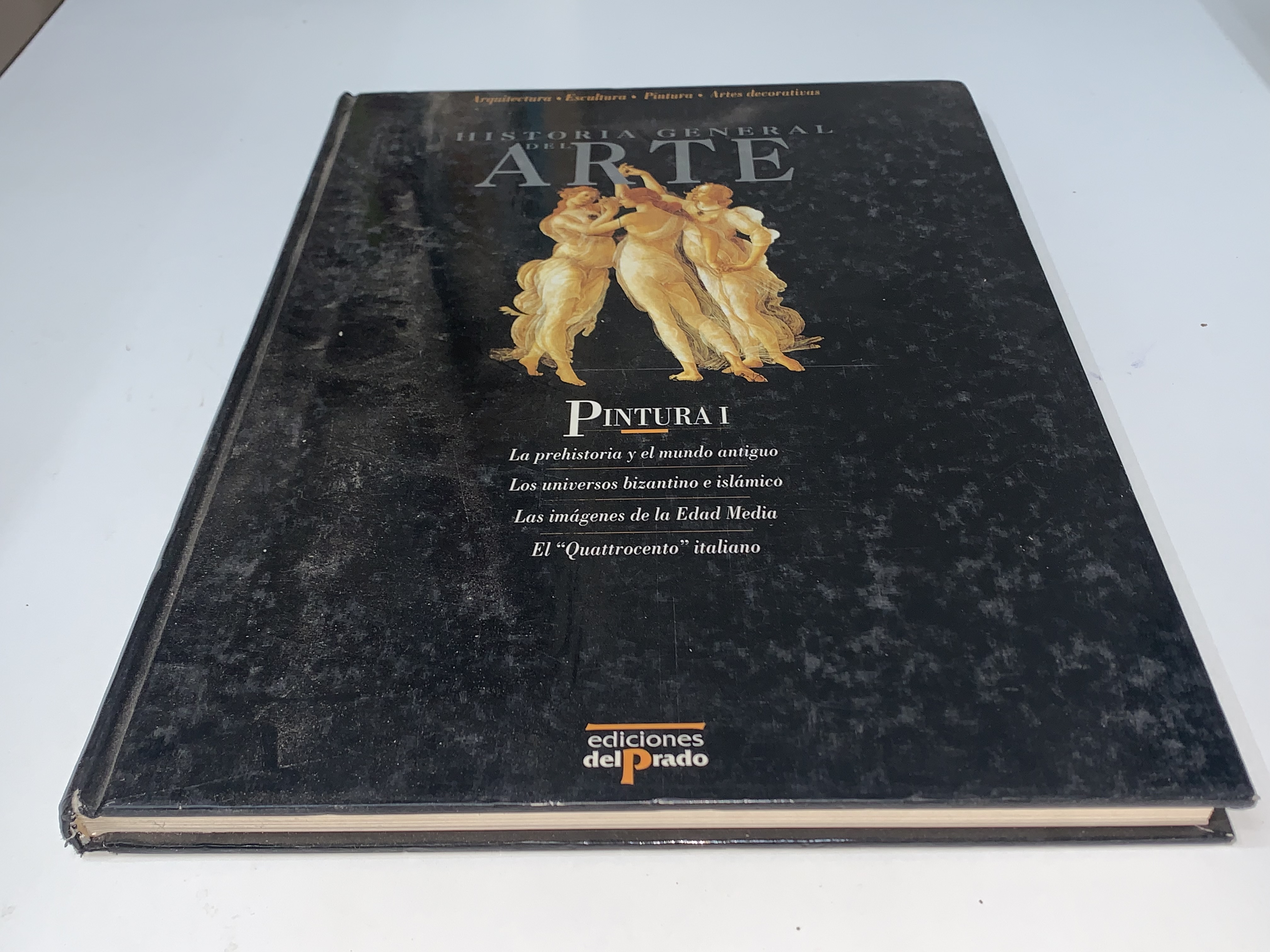 Historia general del arte. Pintura I