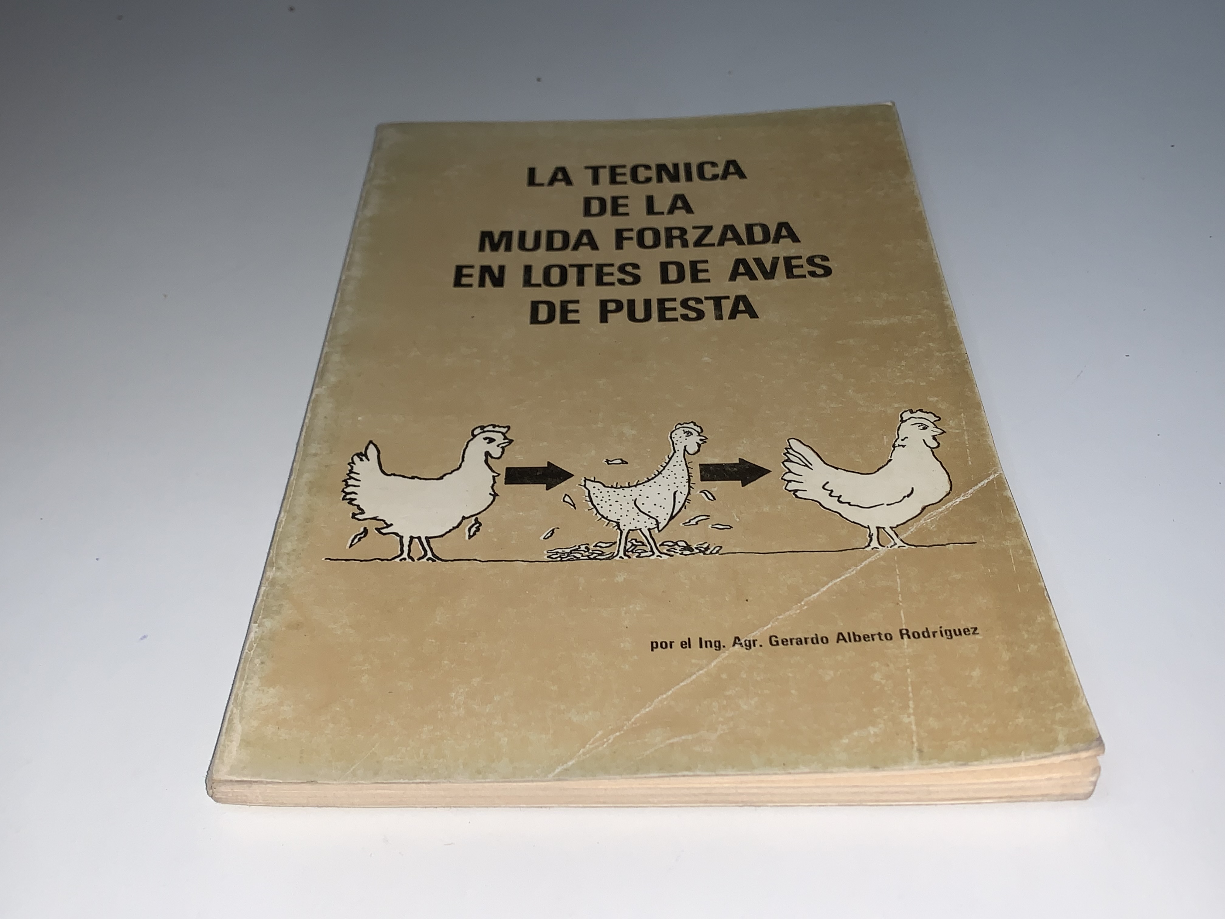 La técnica de la muda forzada en lotes de aves de puesta