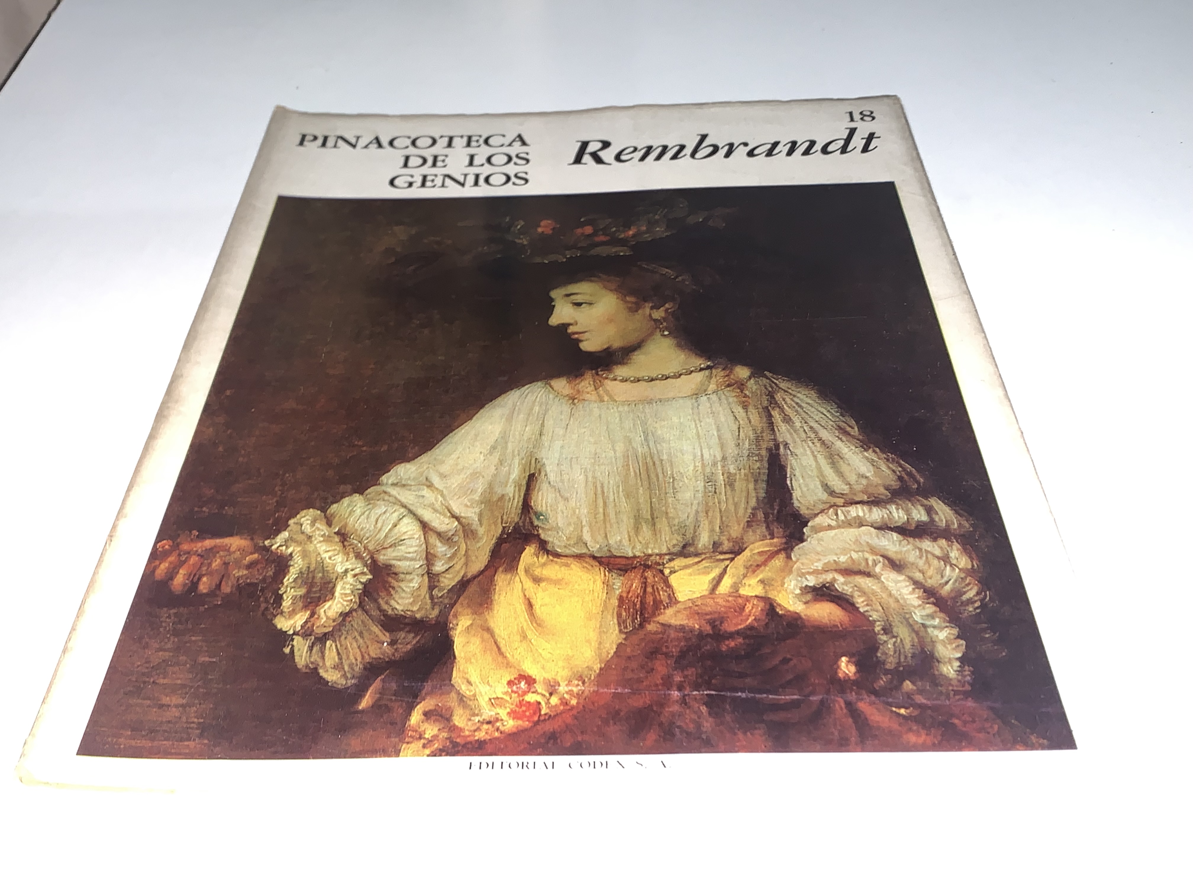 Pinacoteca de los genios: Rembrandt