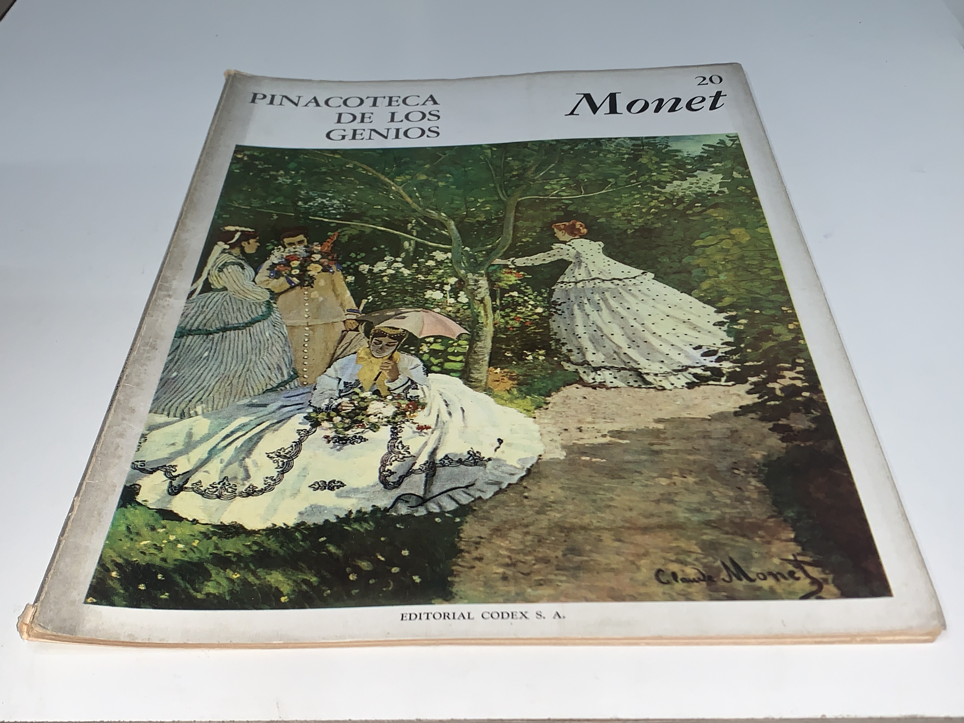 Pinacoteca de los genios Monet