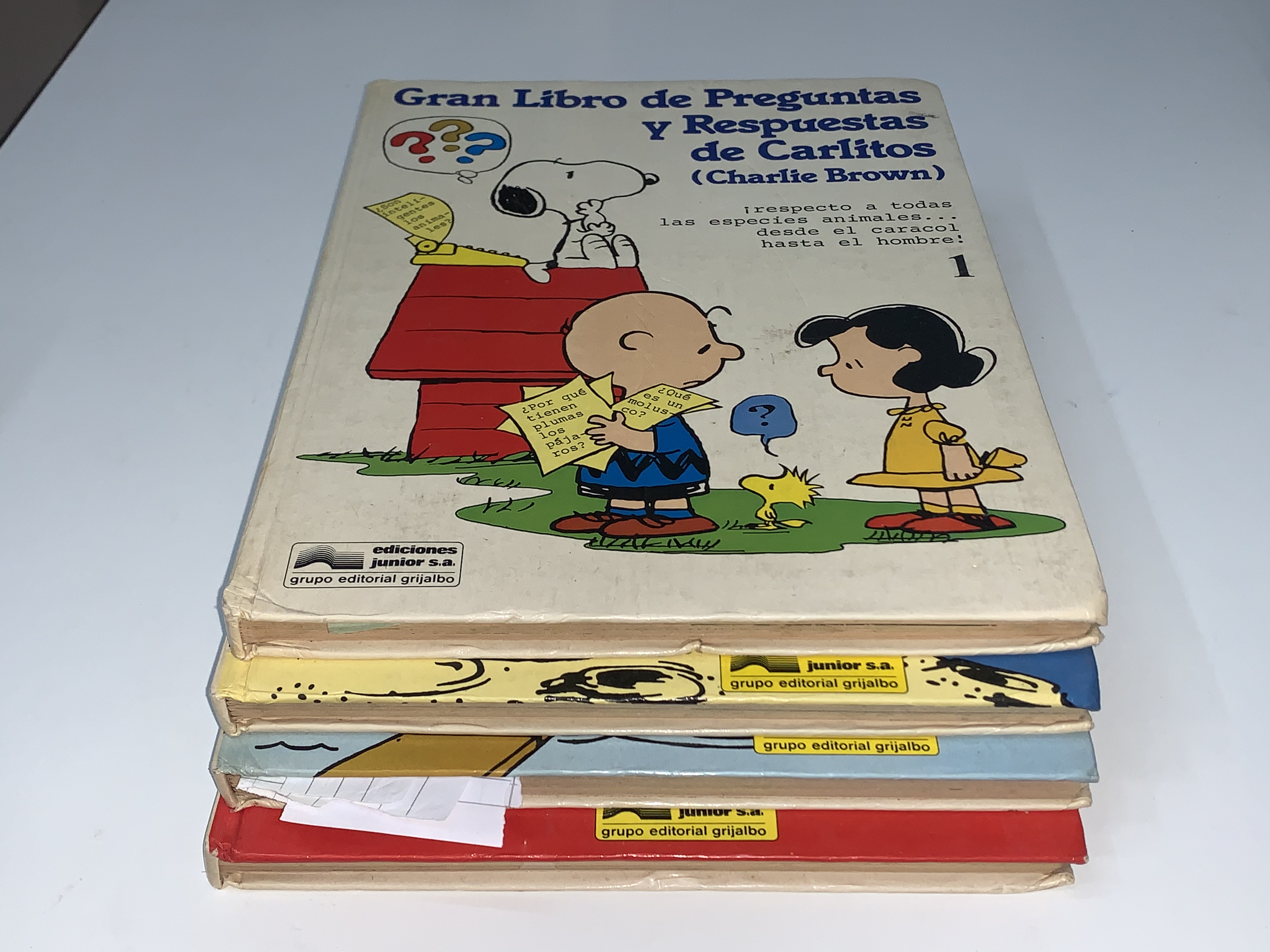 Gran Libro de Preguntas y Respuestas de Carlitos (Charlie Brown)