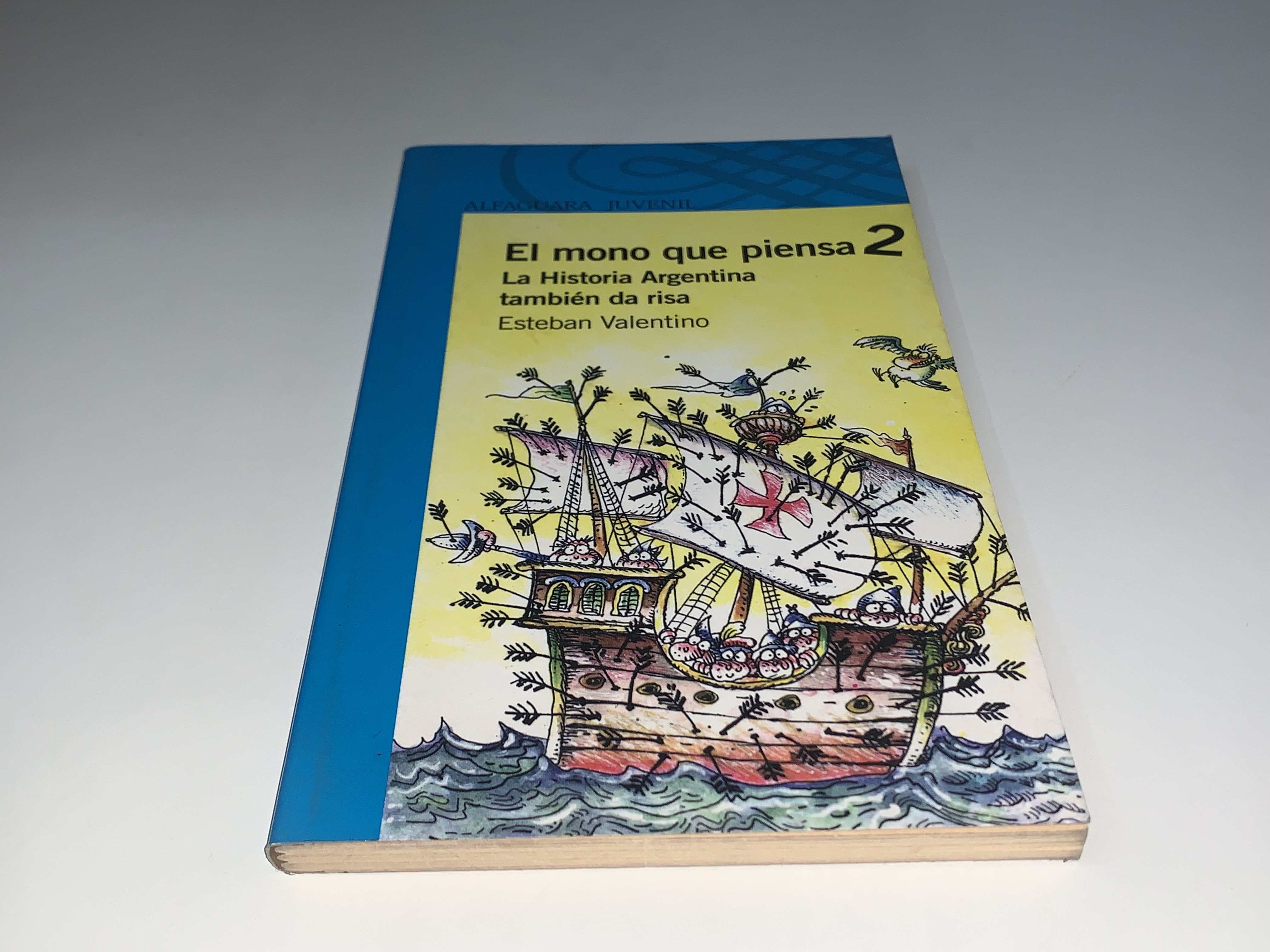 El mono que piensa 2