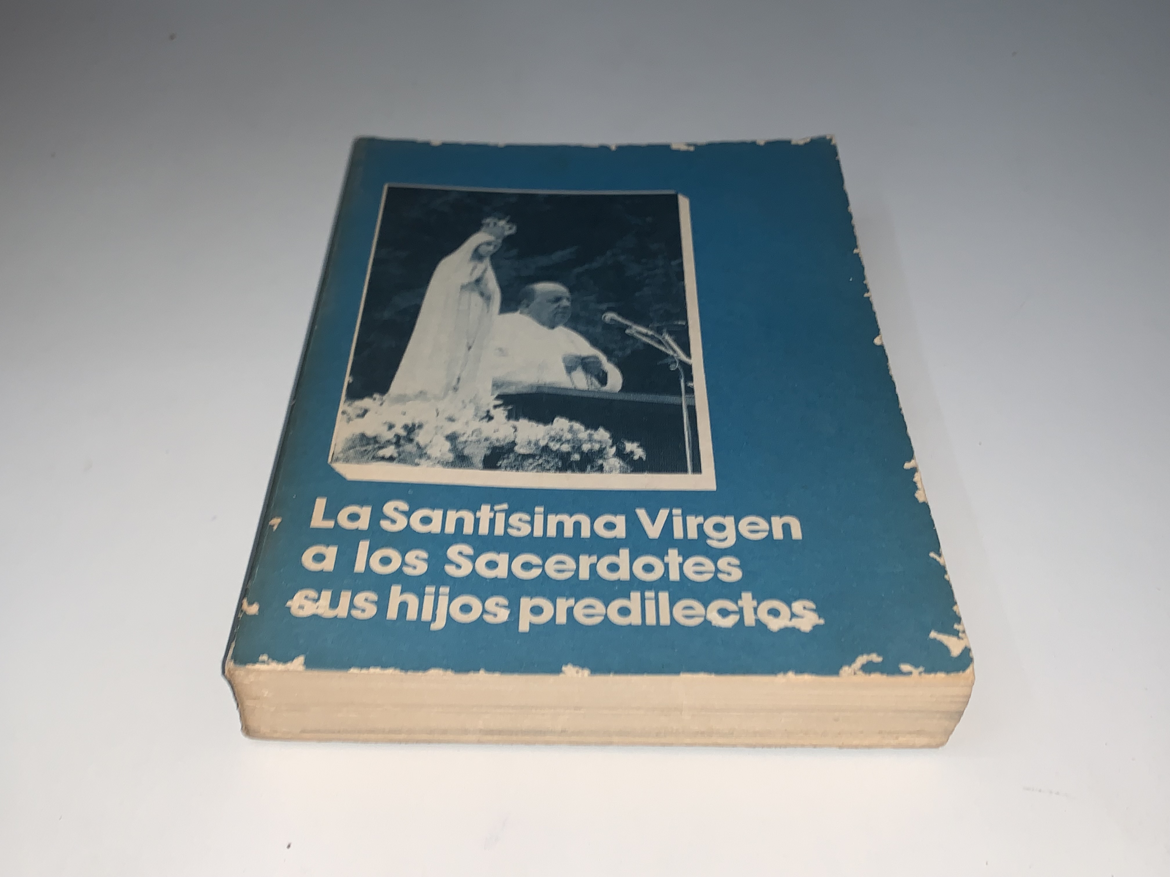 La Santísima Virgen a los Sacerdotes sus hijos predilectos