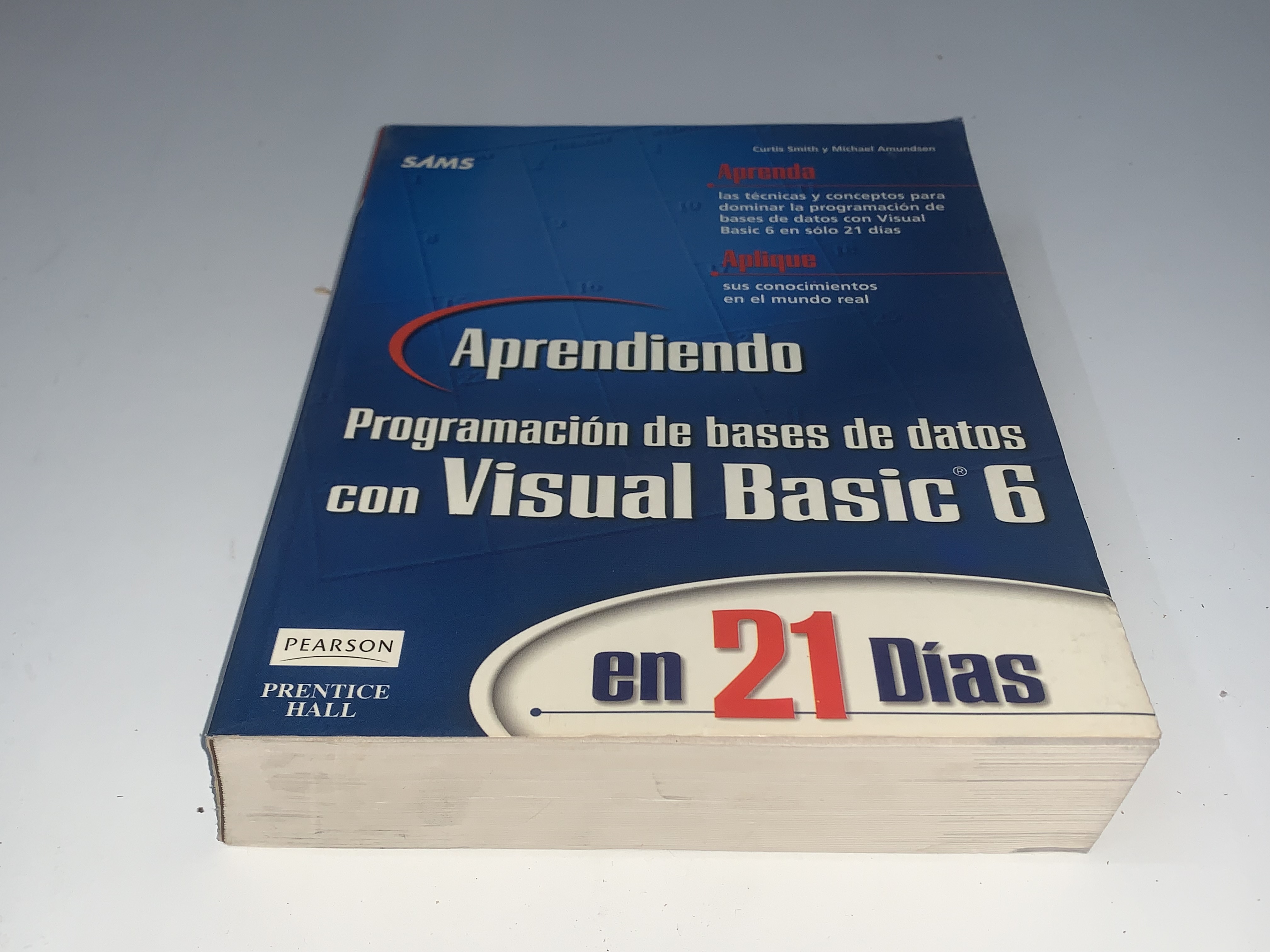 Aprendiendo Programación de bases de datos con Visual Basic 6