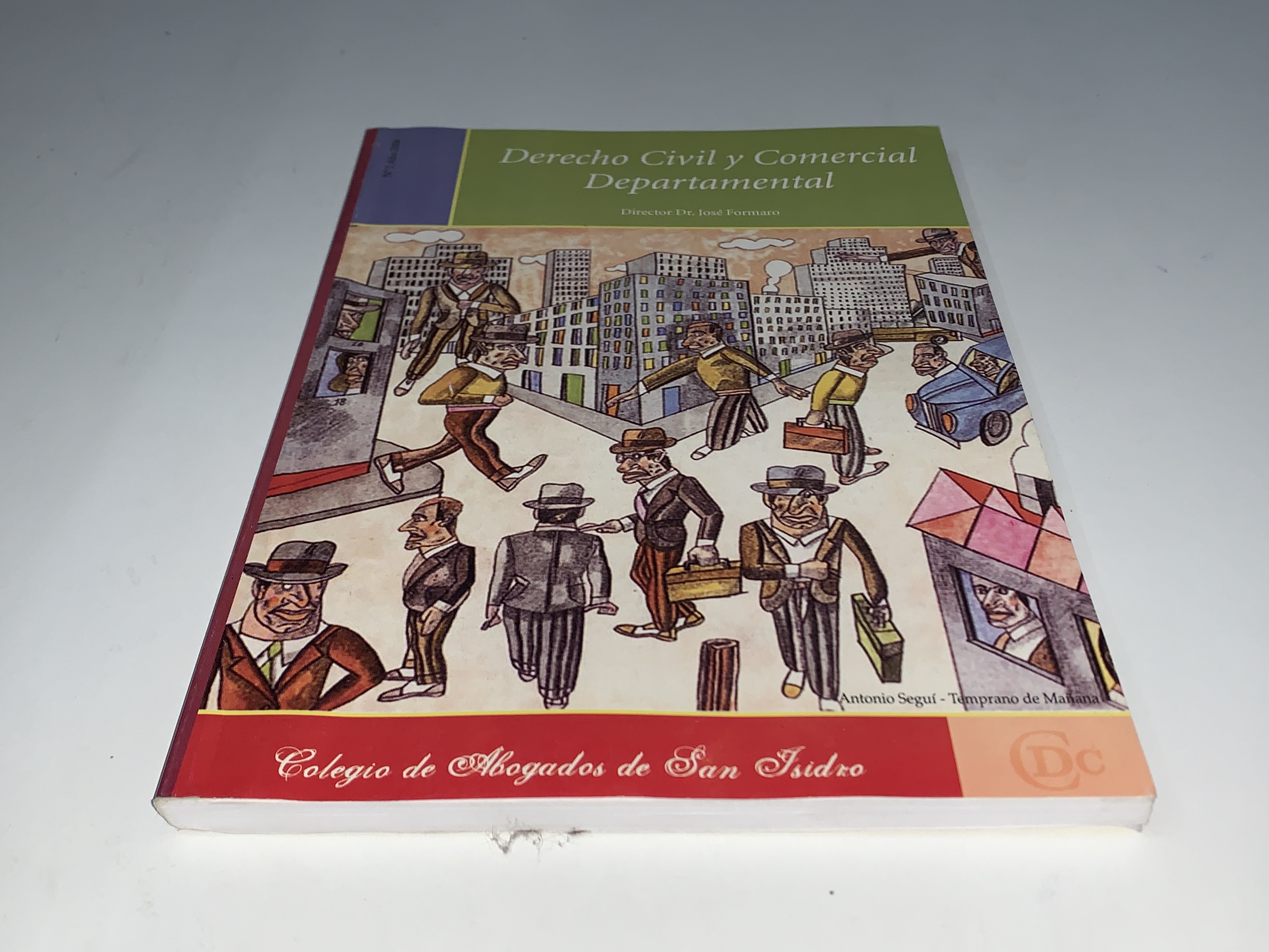 Derecho Civil y Comercial Departamental
