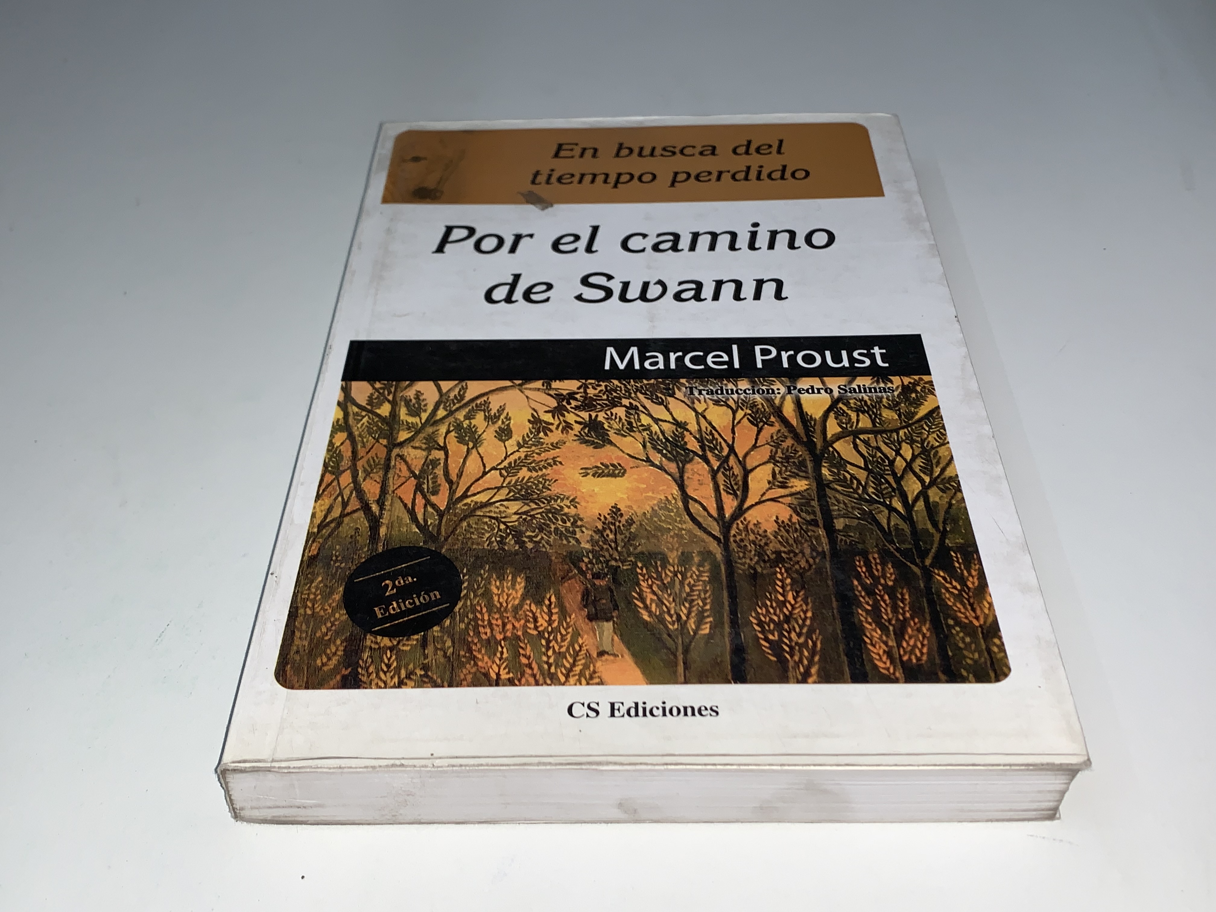 Por el camino de Swann