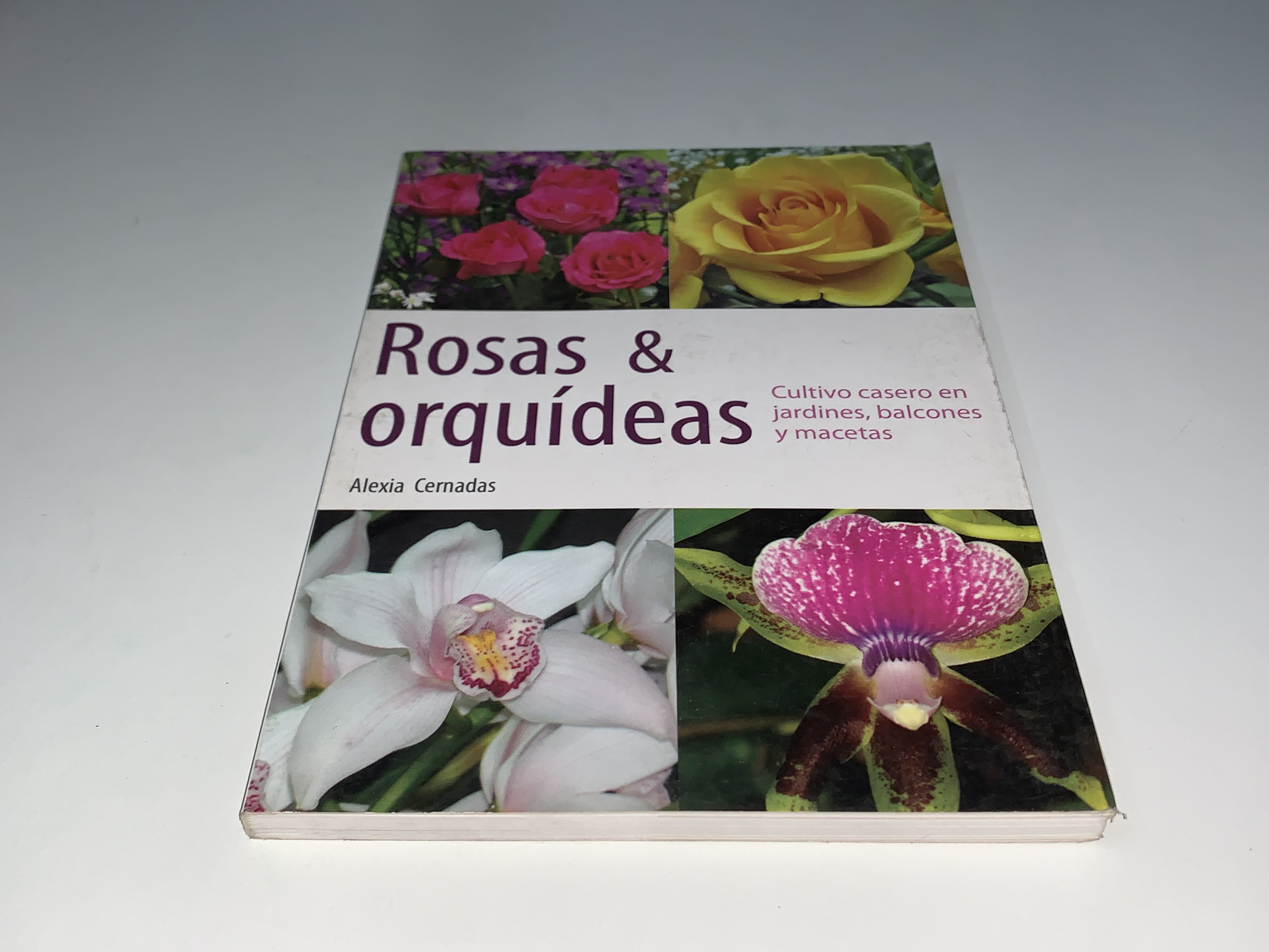 Rosas & orquídeas