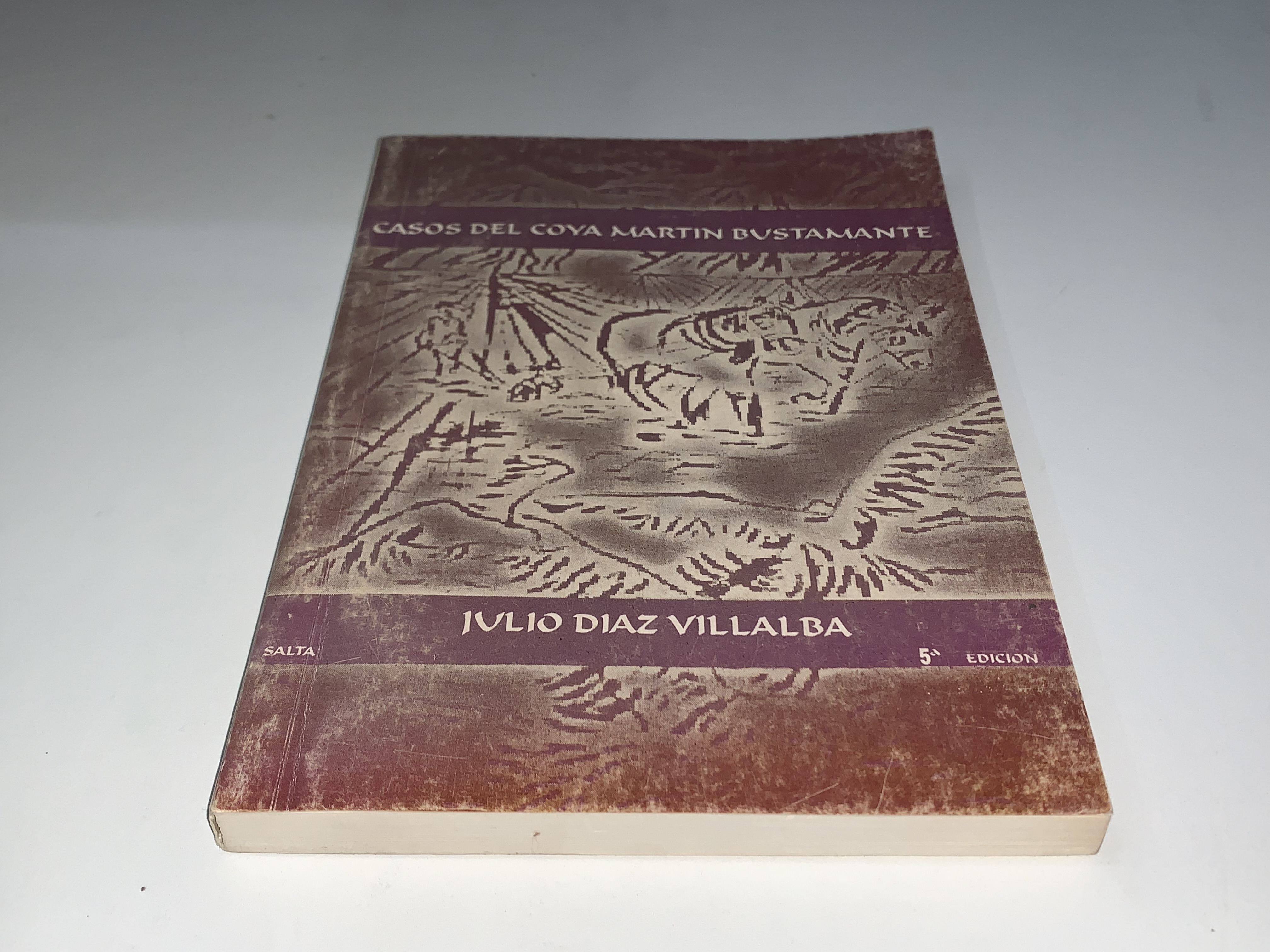Casos del Coya Martín Bustamante