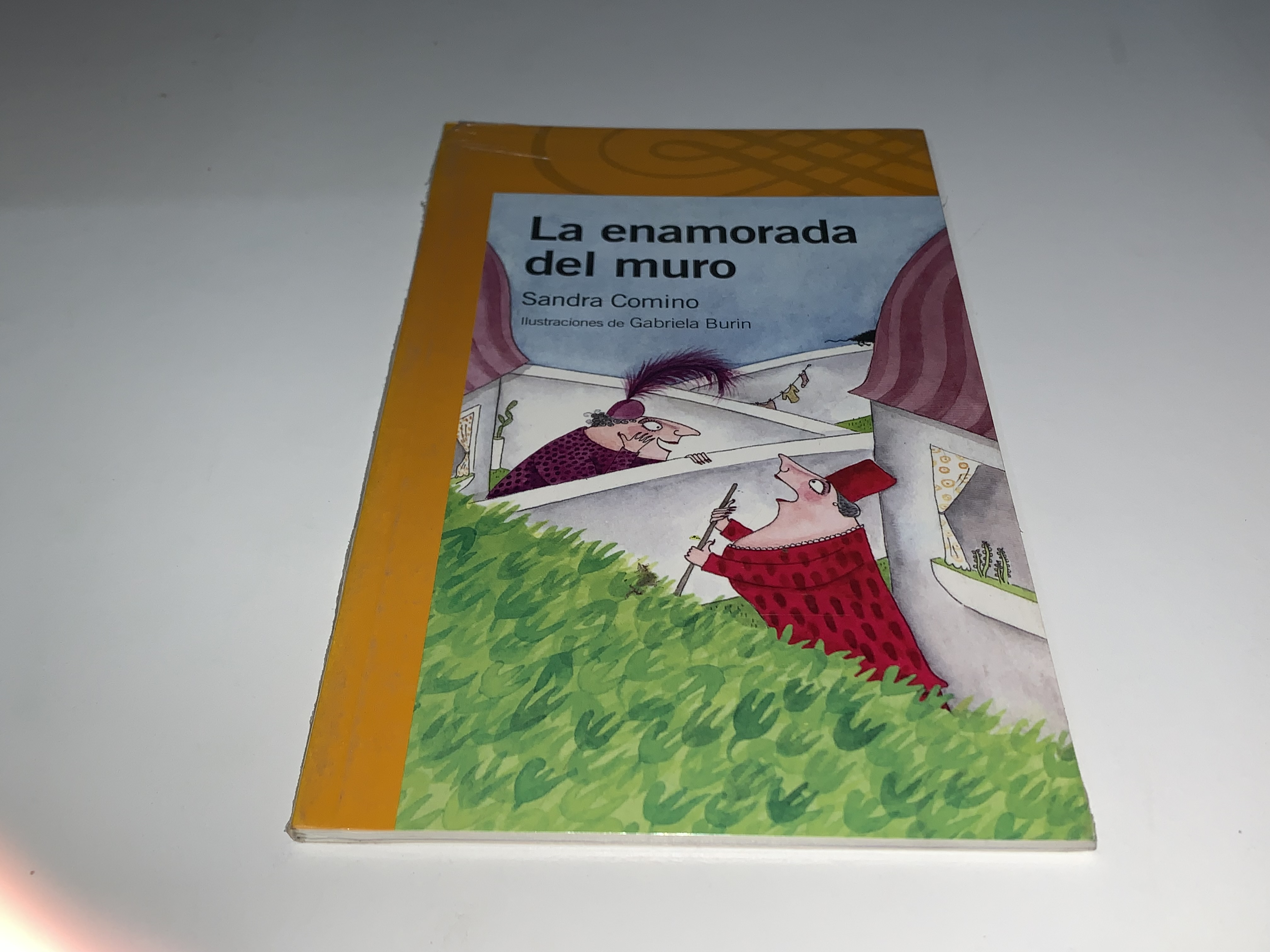 La enamorada del muro