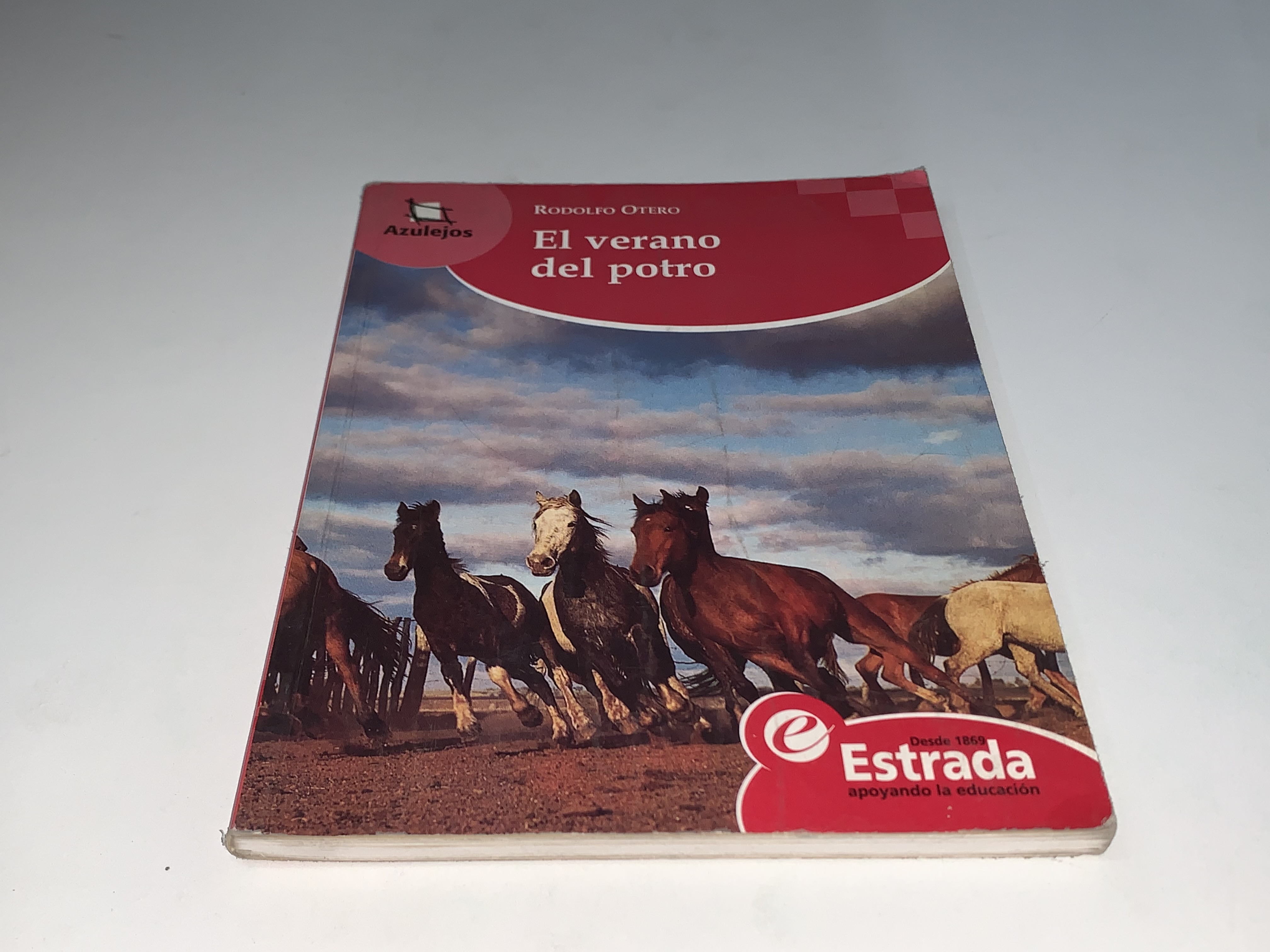 El verano del potro