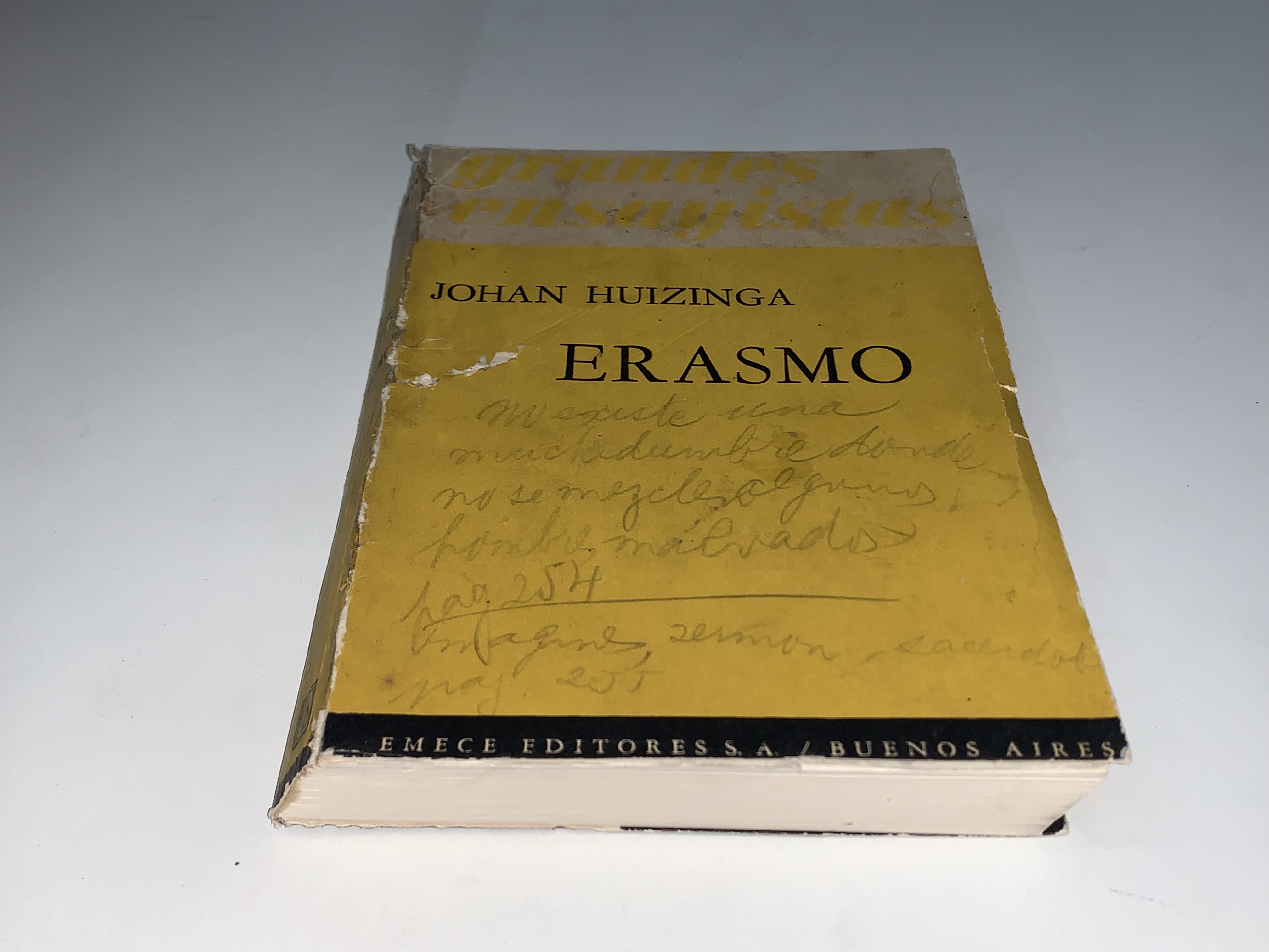 Erasmo