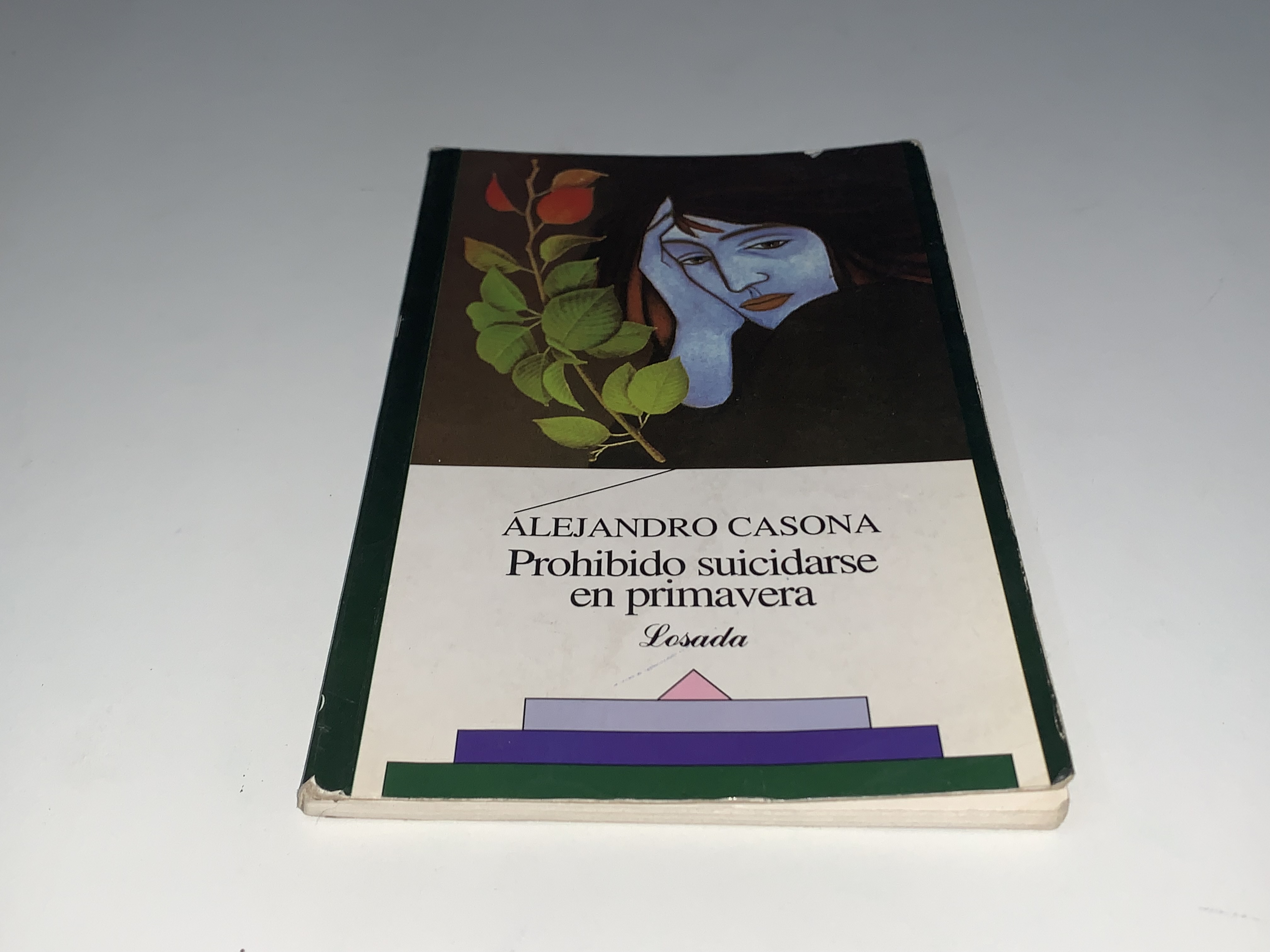 Prohibido suicidarse en primavera