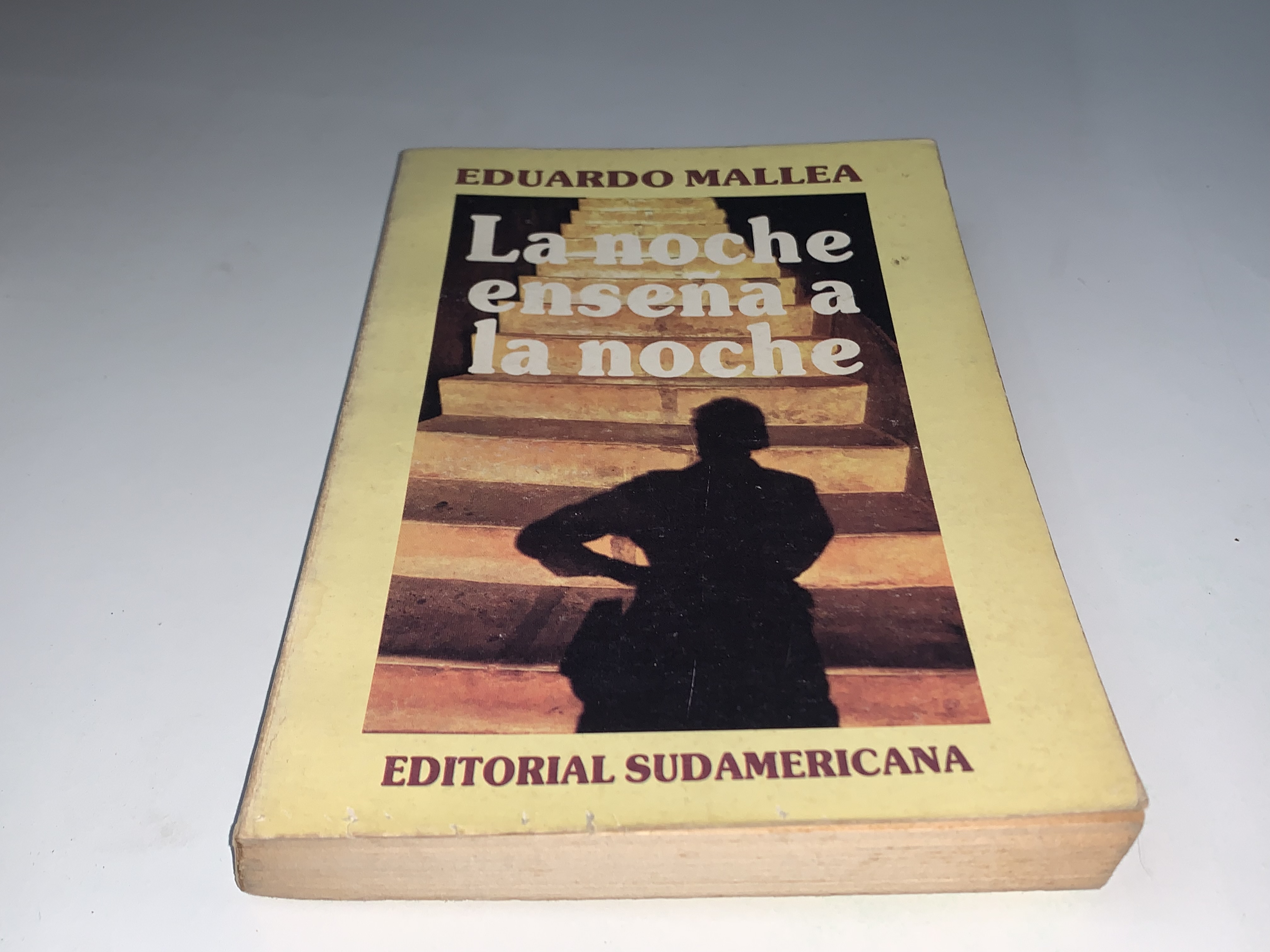 La noche enseña a la noche
