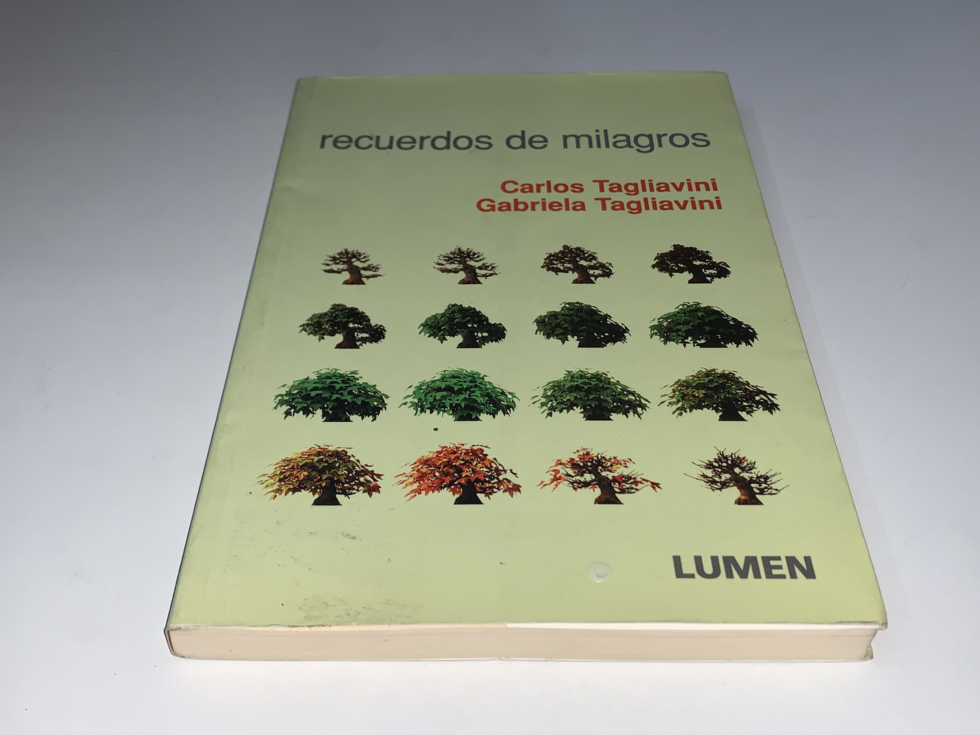 Recuerdos de milagros