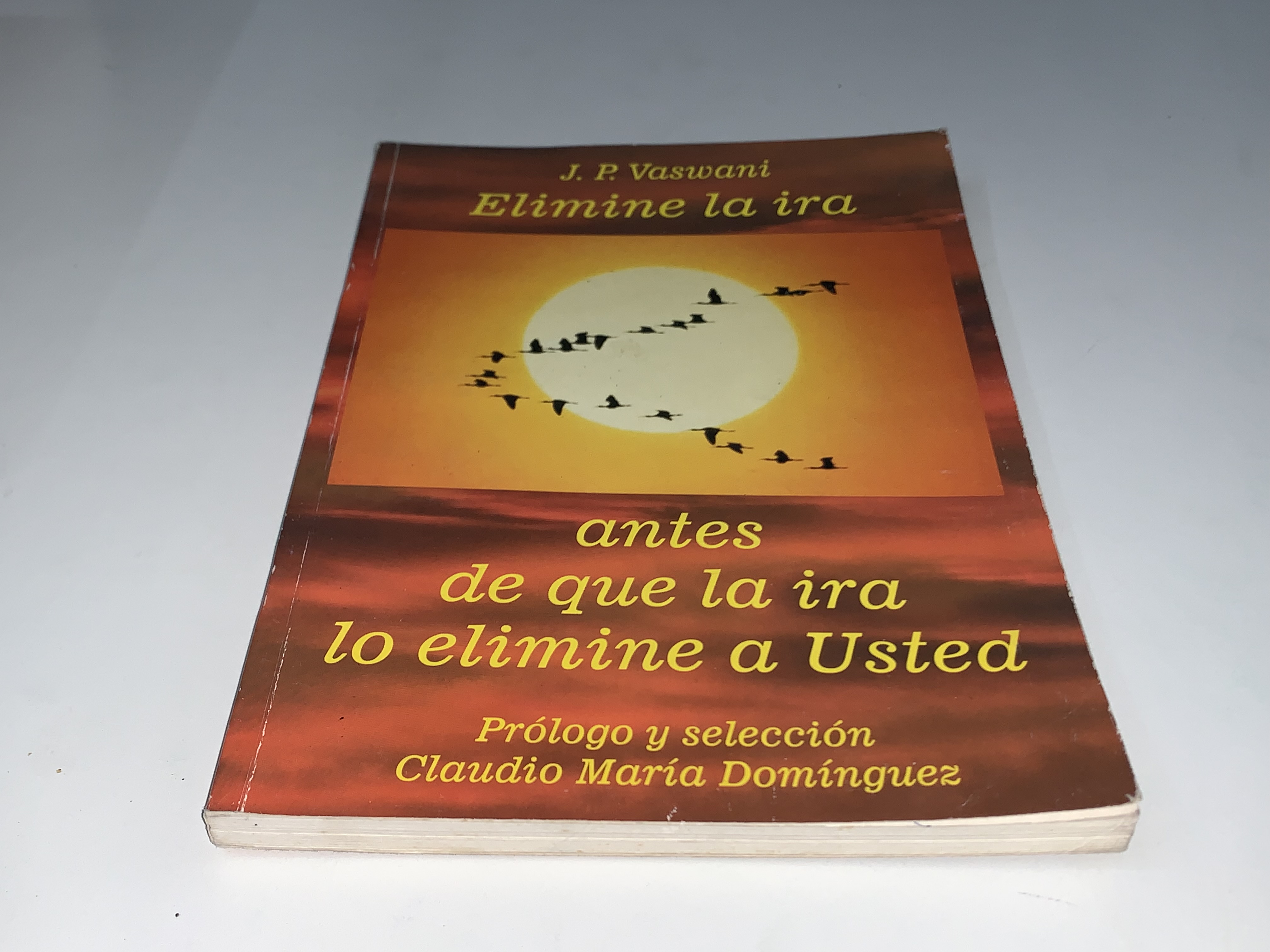 Elimine la ira antes de que la ira lo elimine a Usted