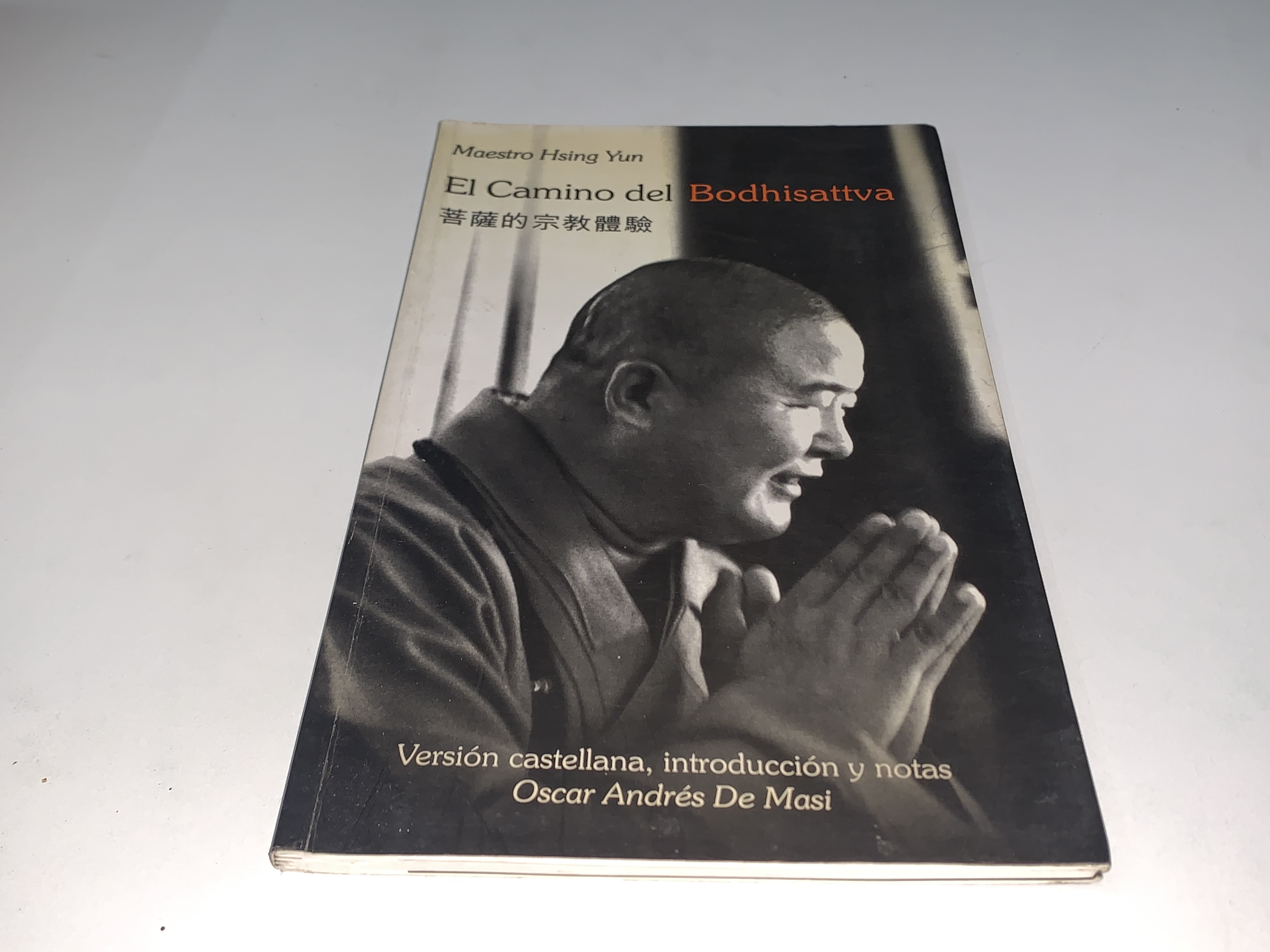 El Camino del Bodhisattva