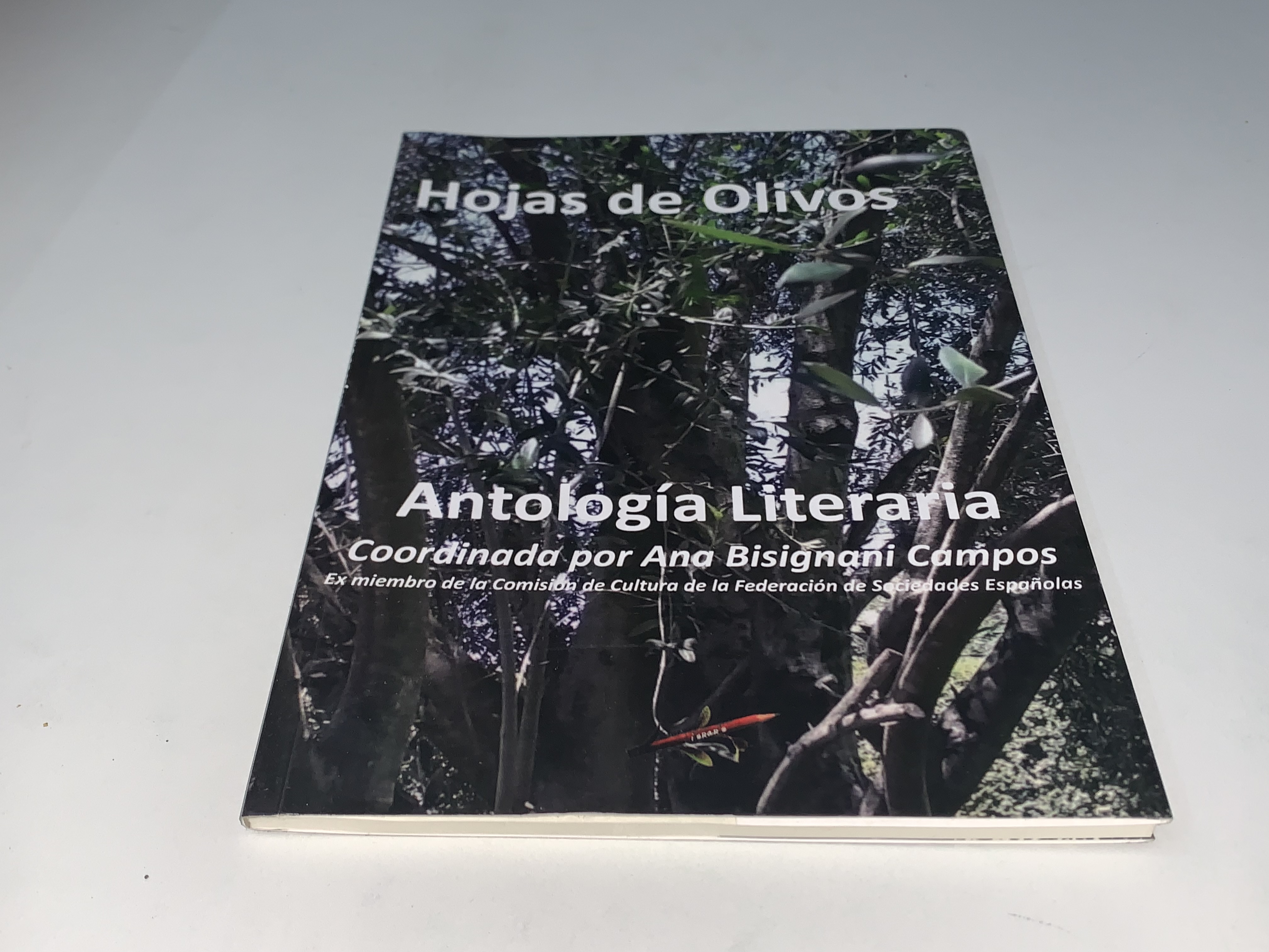 Hojas de Olivos