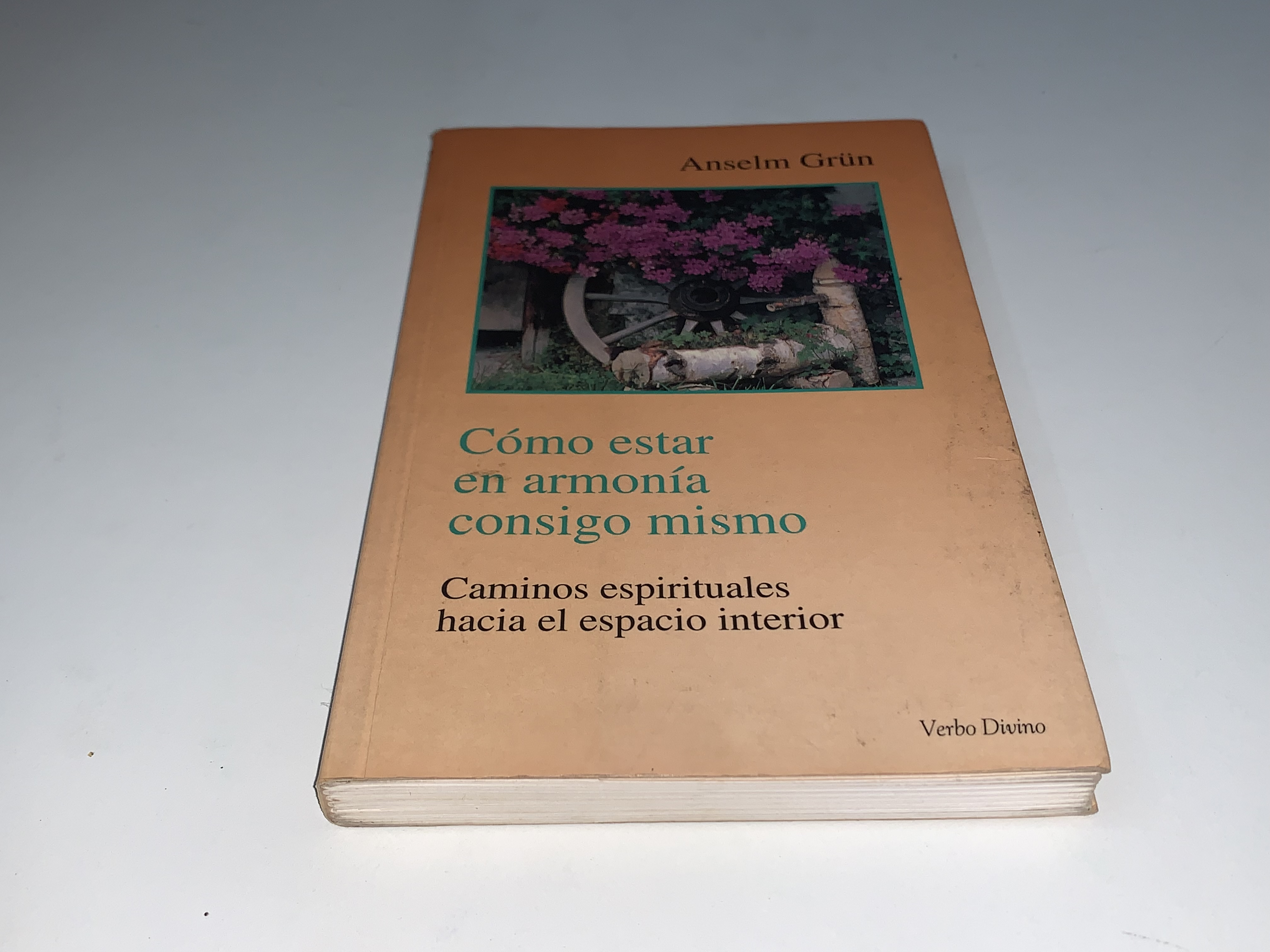 Cómo estar en armonía consigo mismo