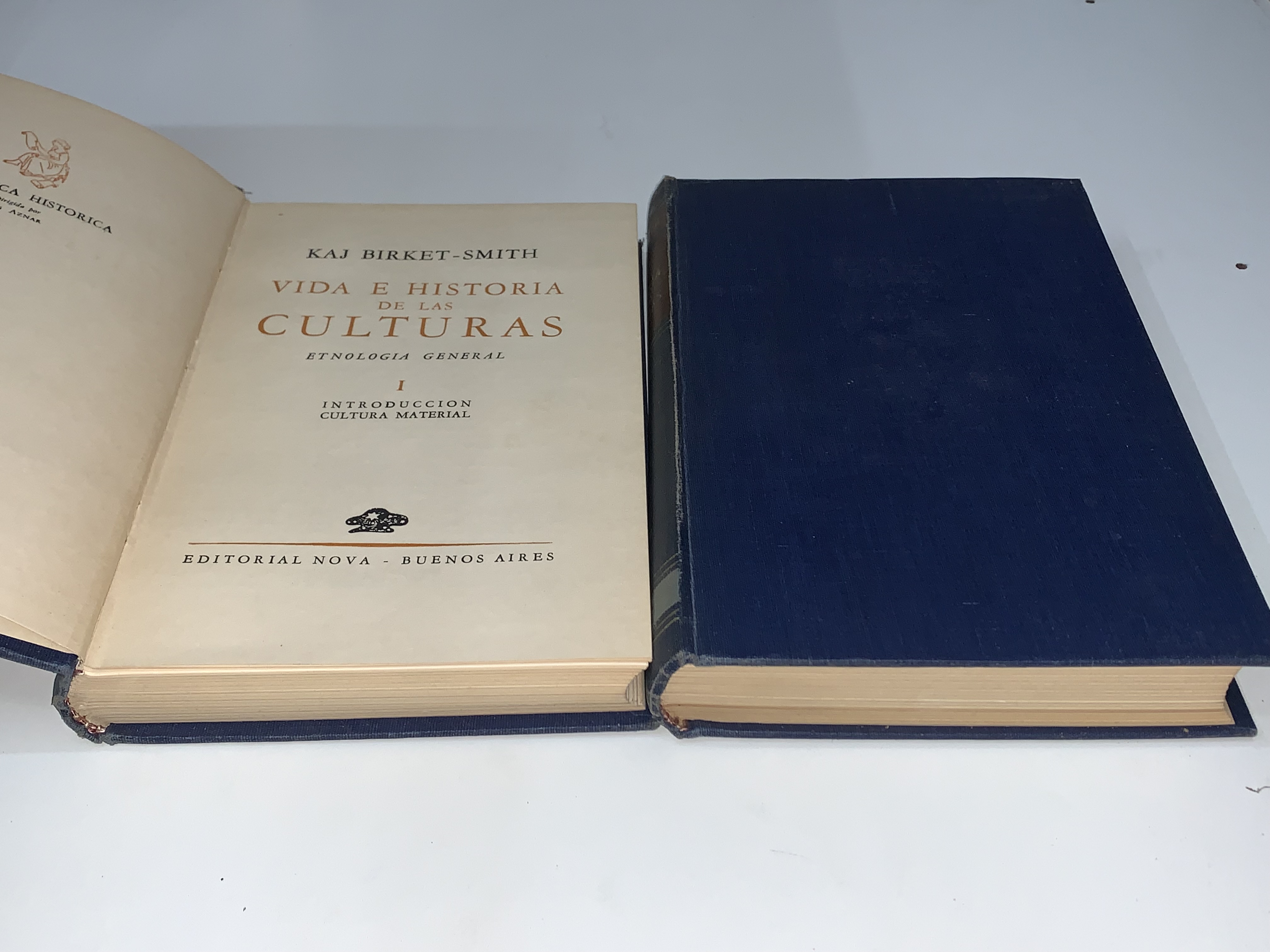 Vida e historia de las culturas