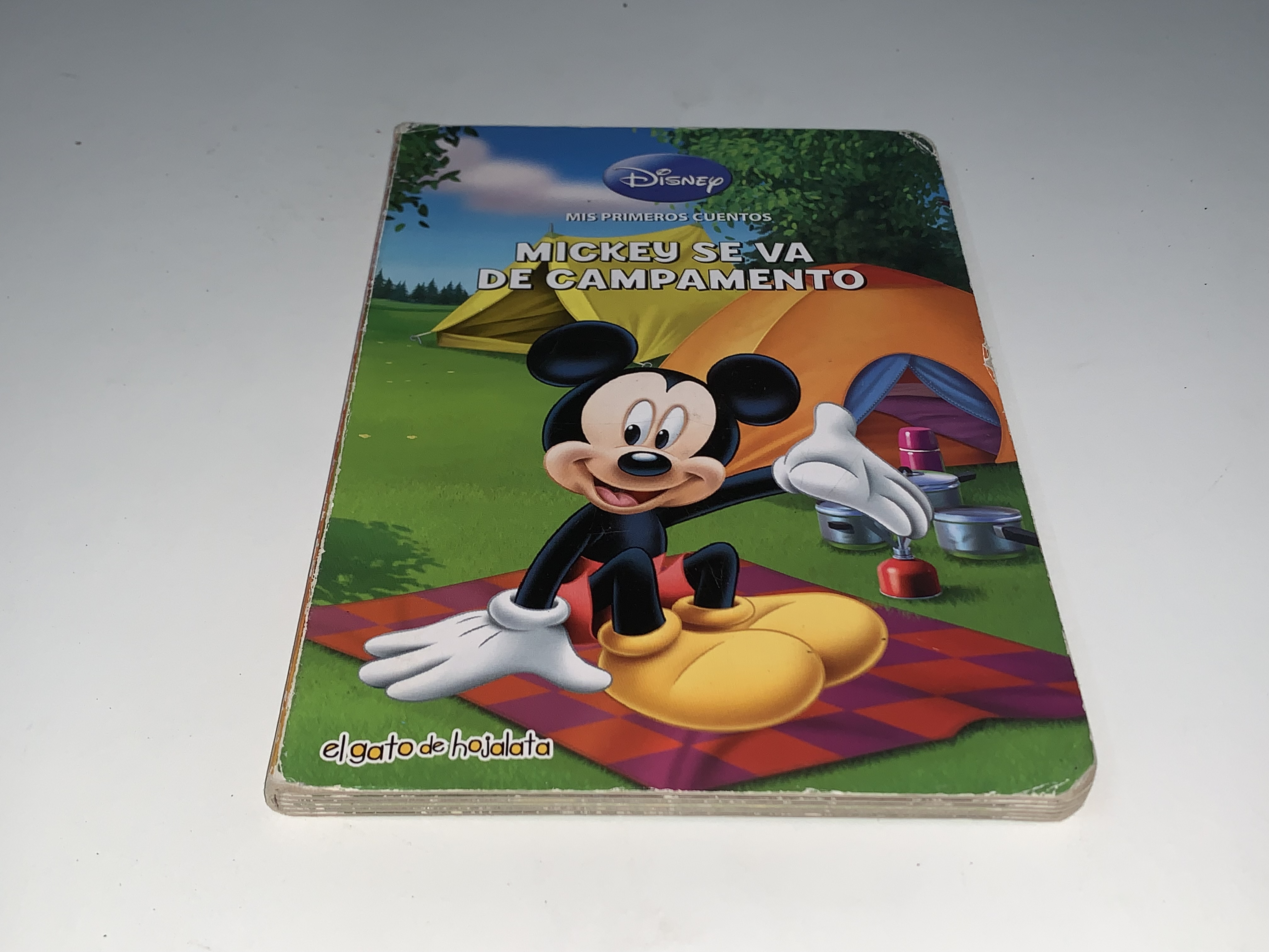 Mickey se va de campamento