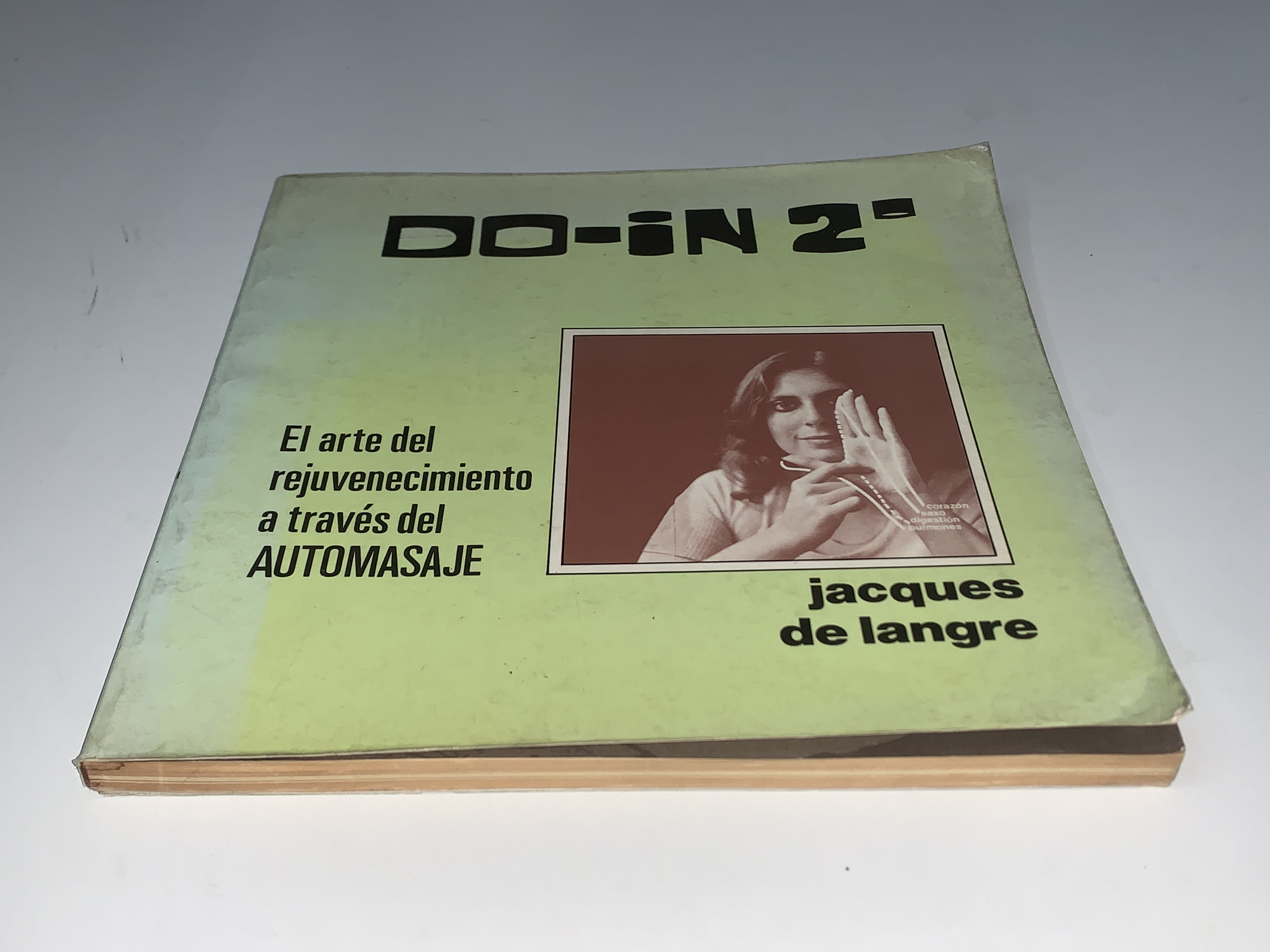 DO-IN 2