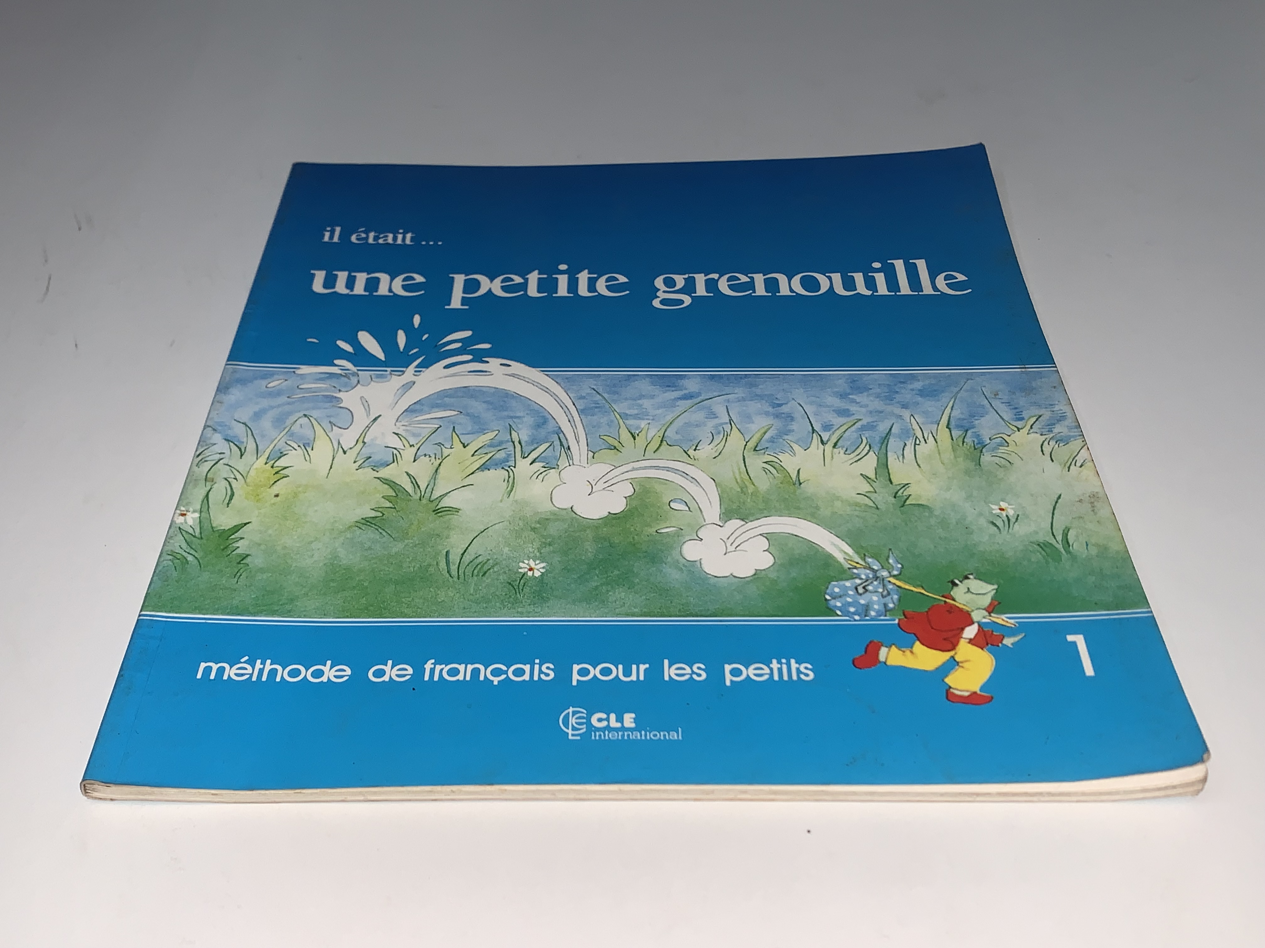une petite grenouille