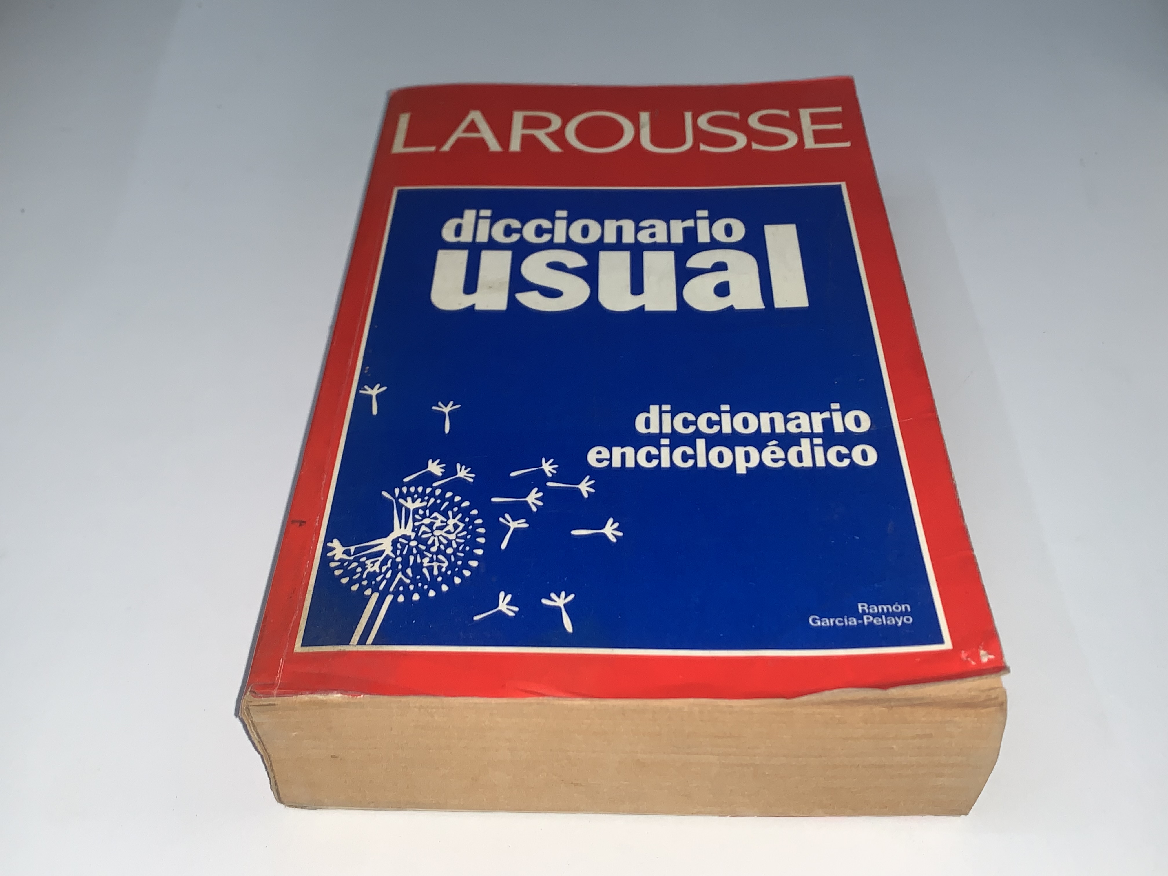 Diccionario Usual