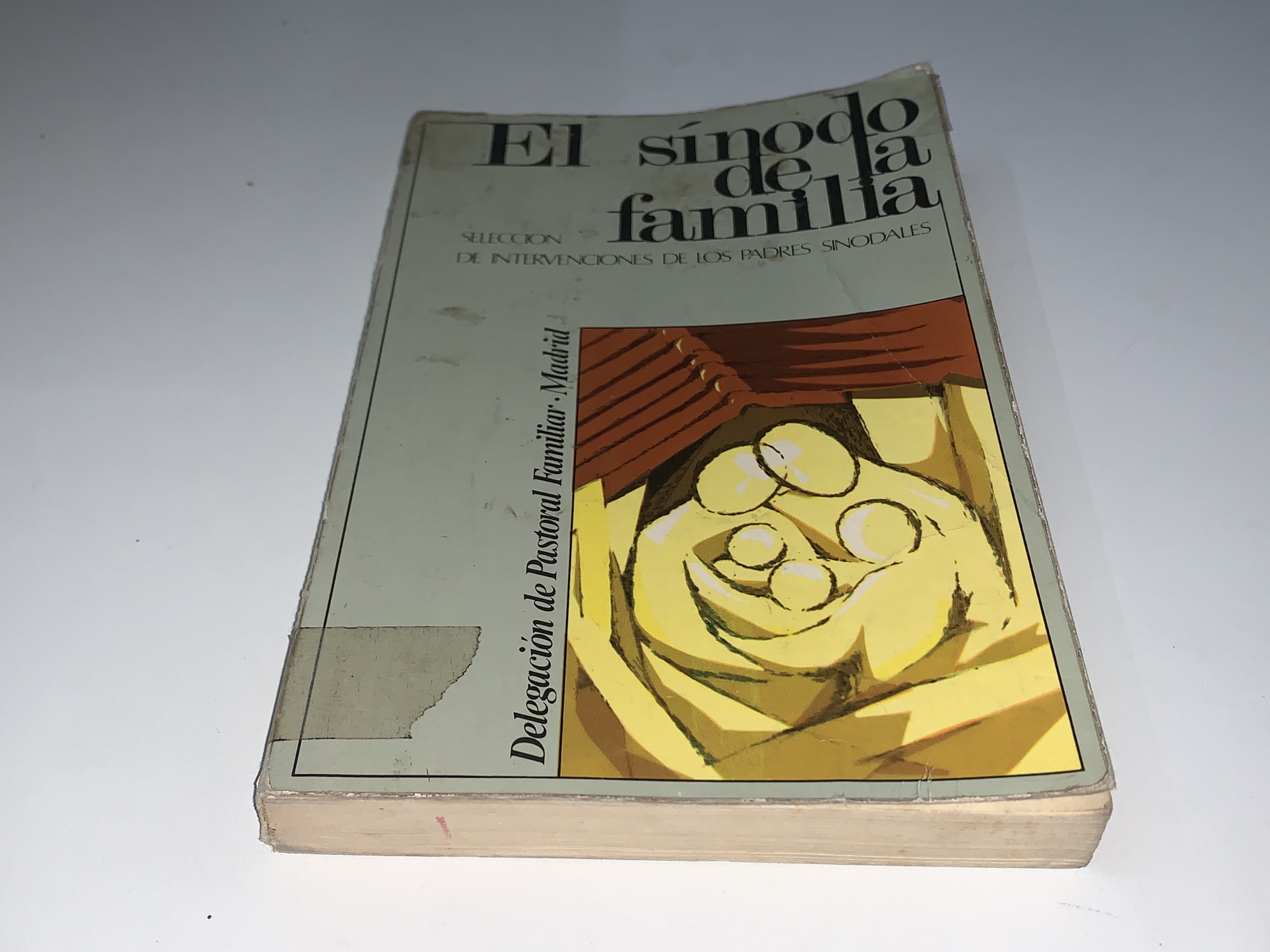 El sínodo de la familia