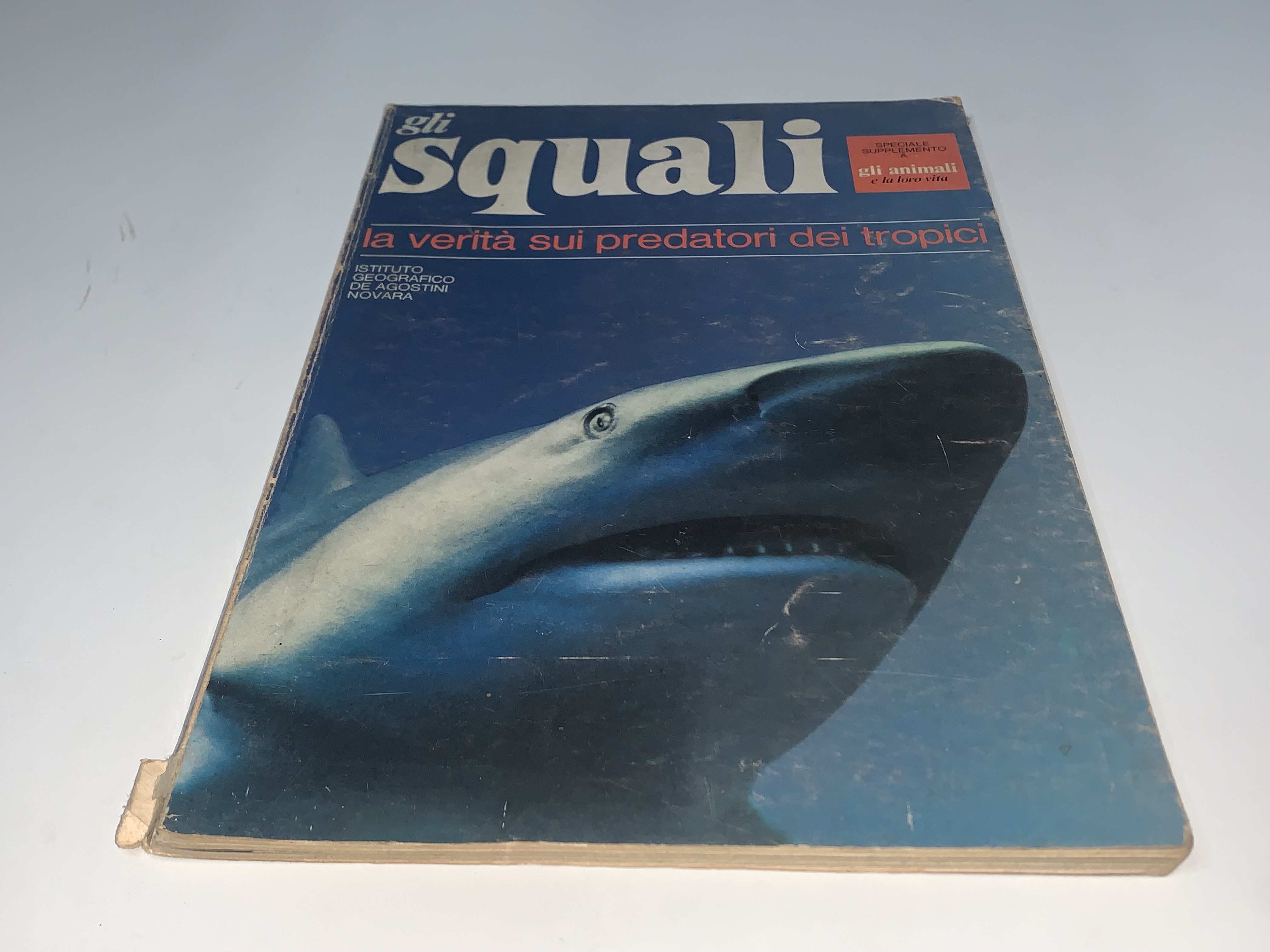 Gli squali