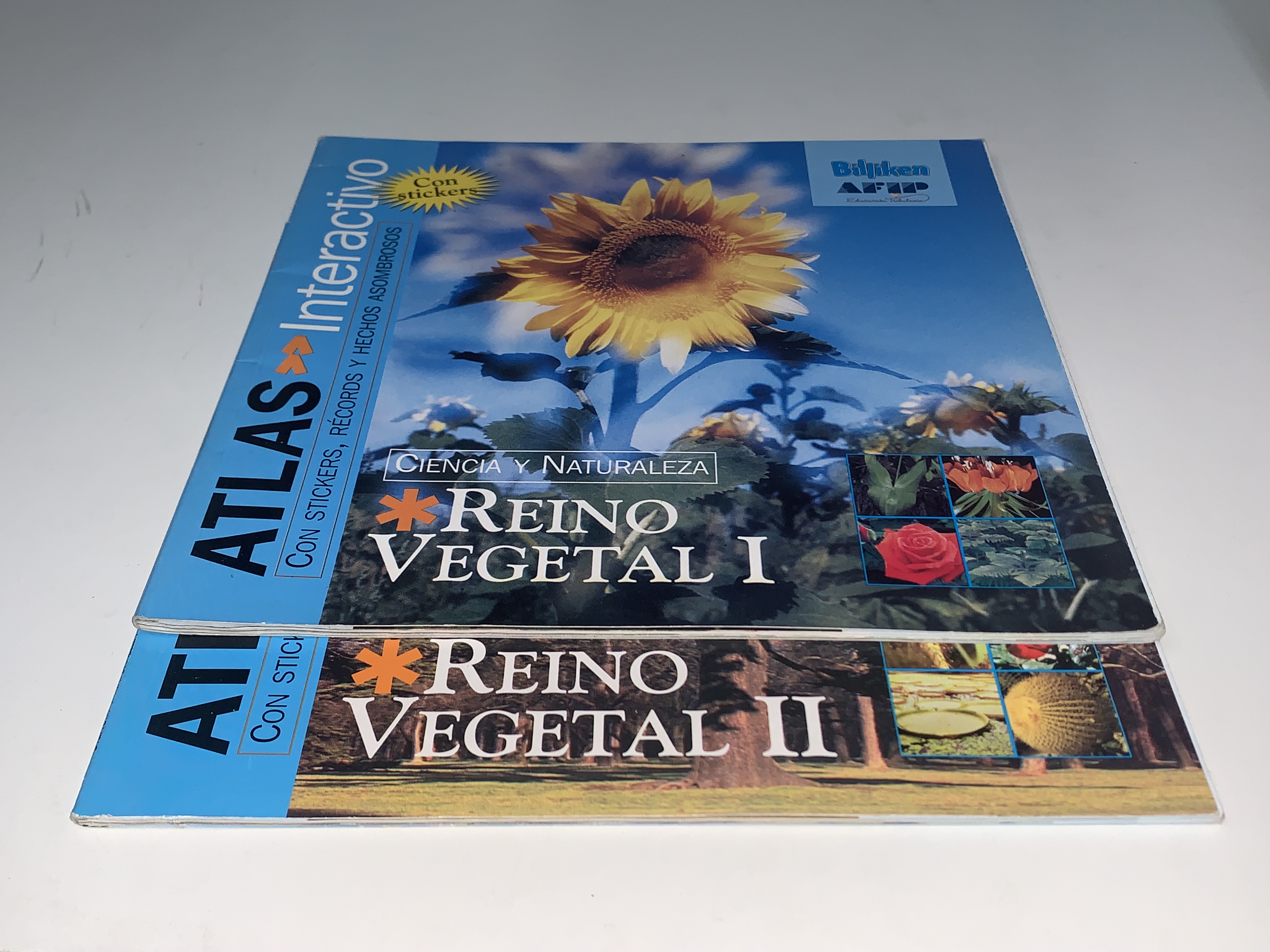 Reino Vegetal I