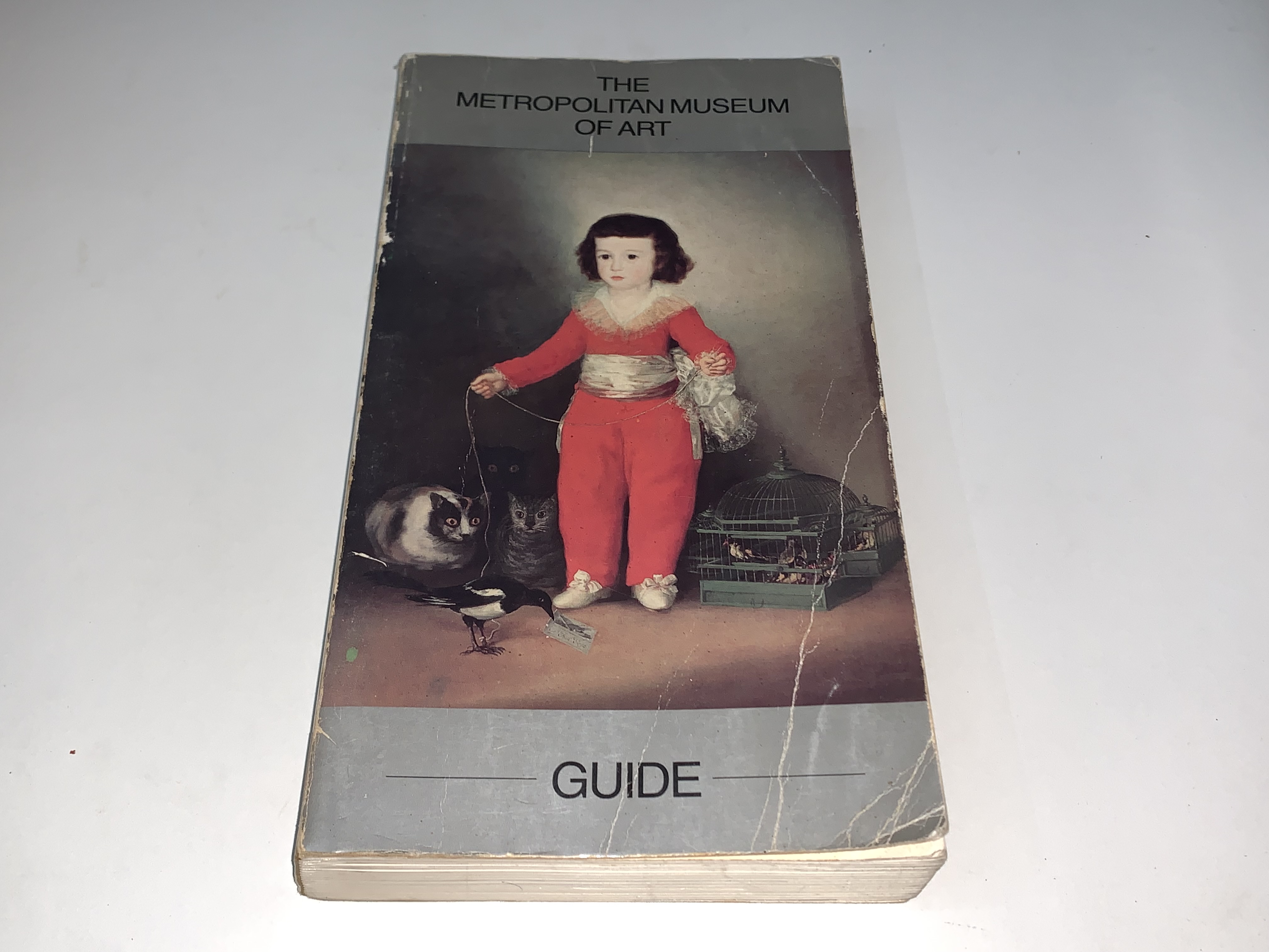 The Metropolitan Museum of Art Guide